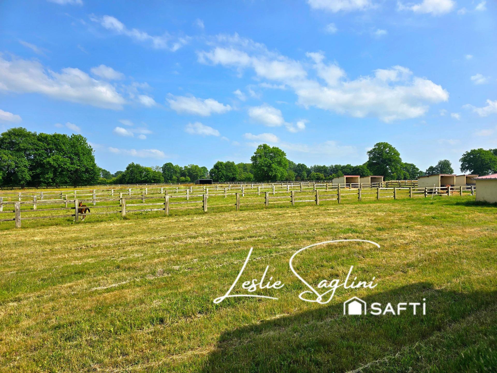 Photo 2 de l'annonce.