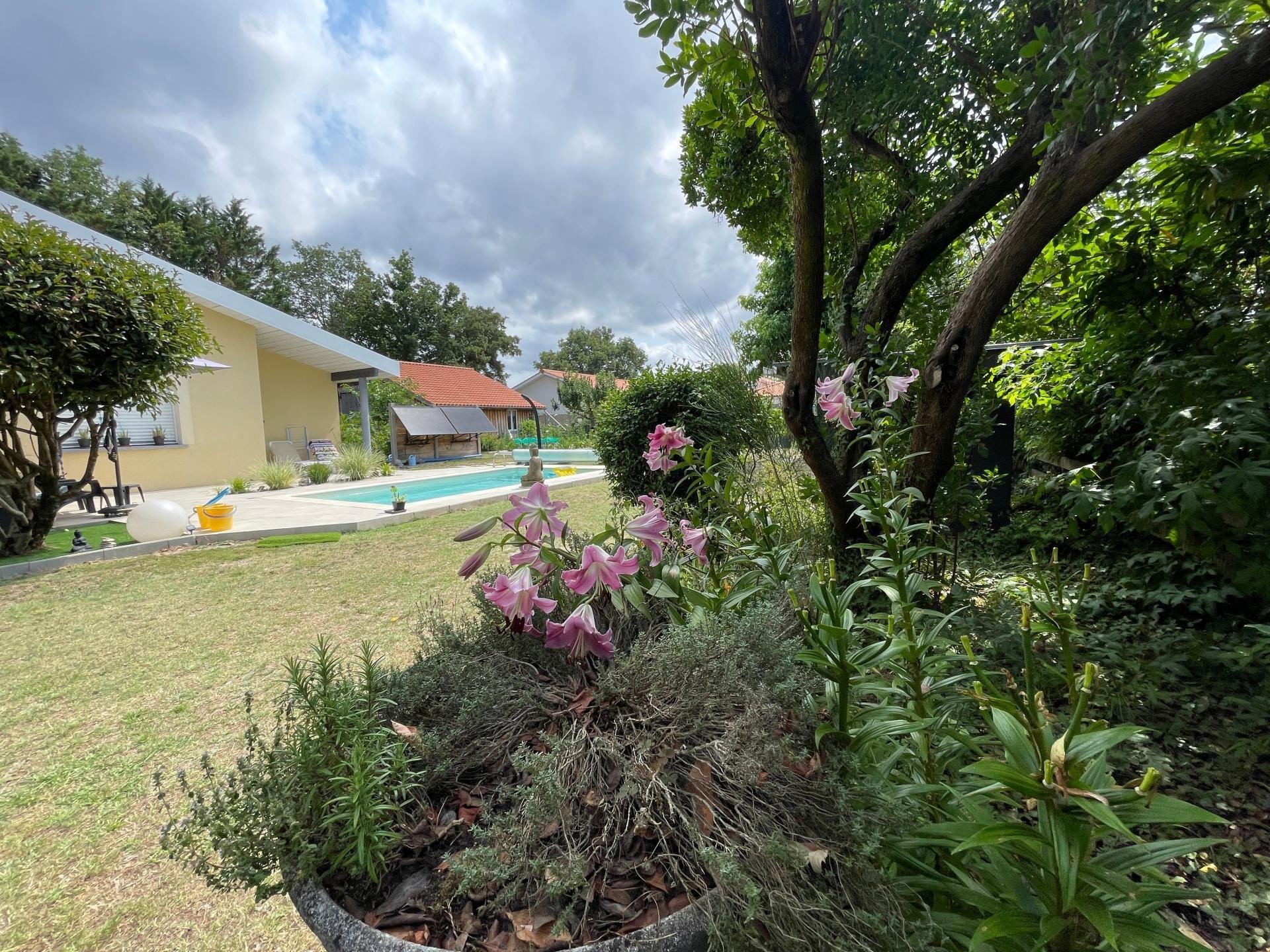 Photo 2 de l'annonce.