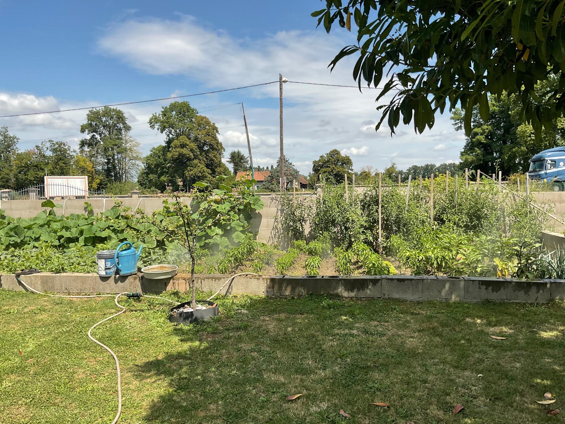 Photo 3 de l'annonce.