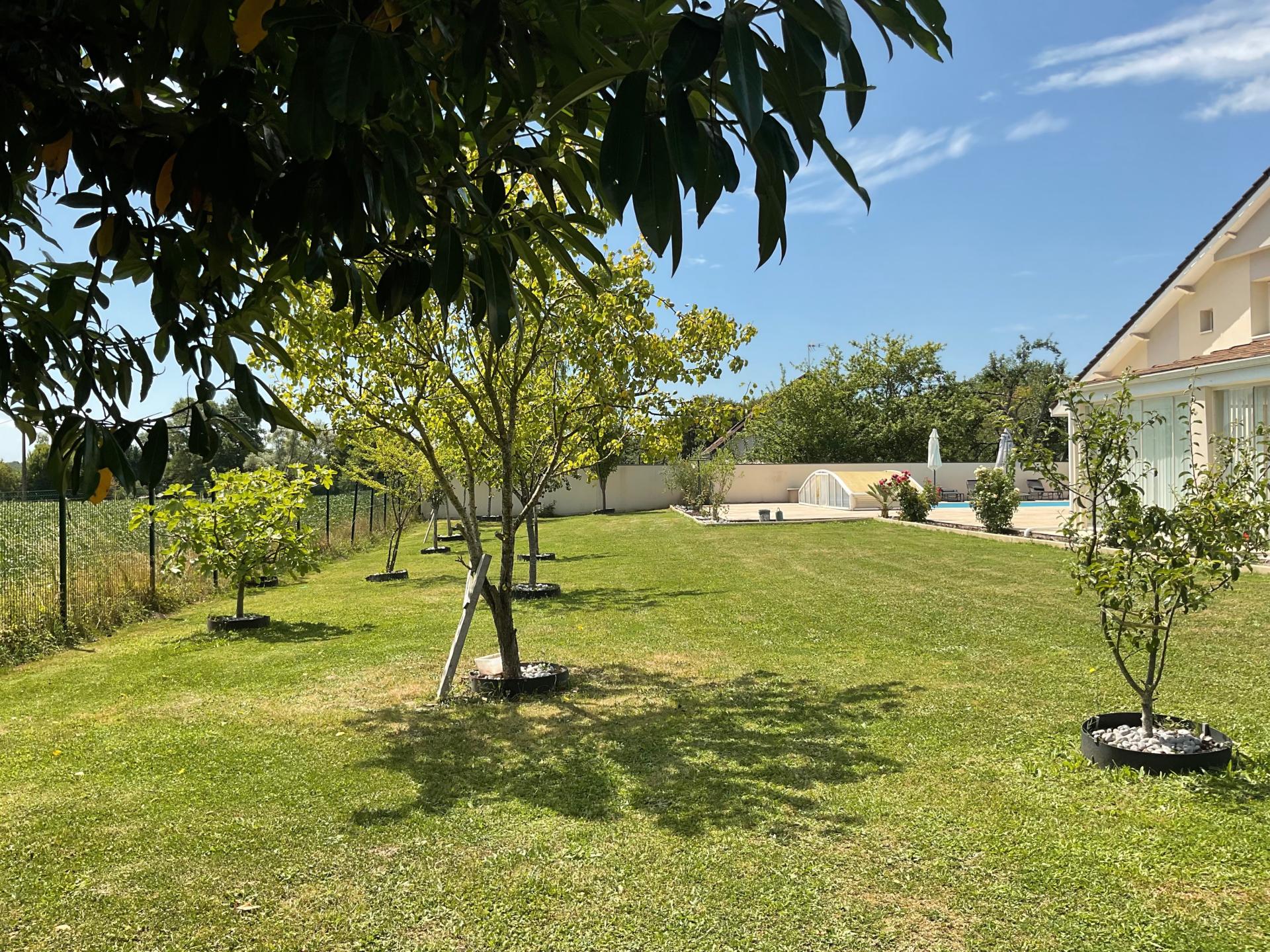 Photo 2 de l'annonce.