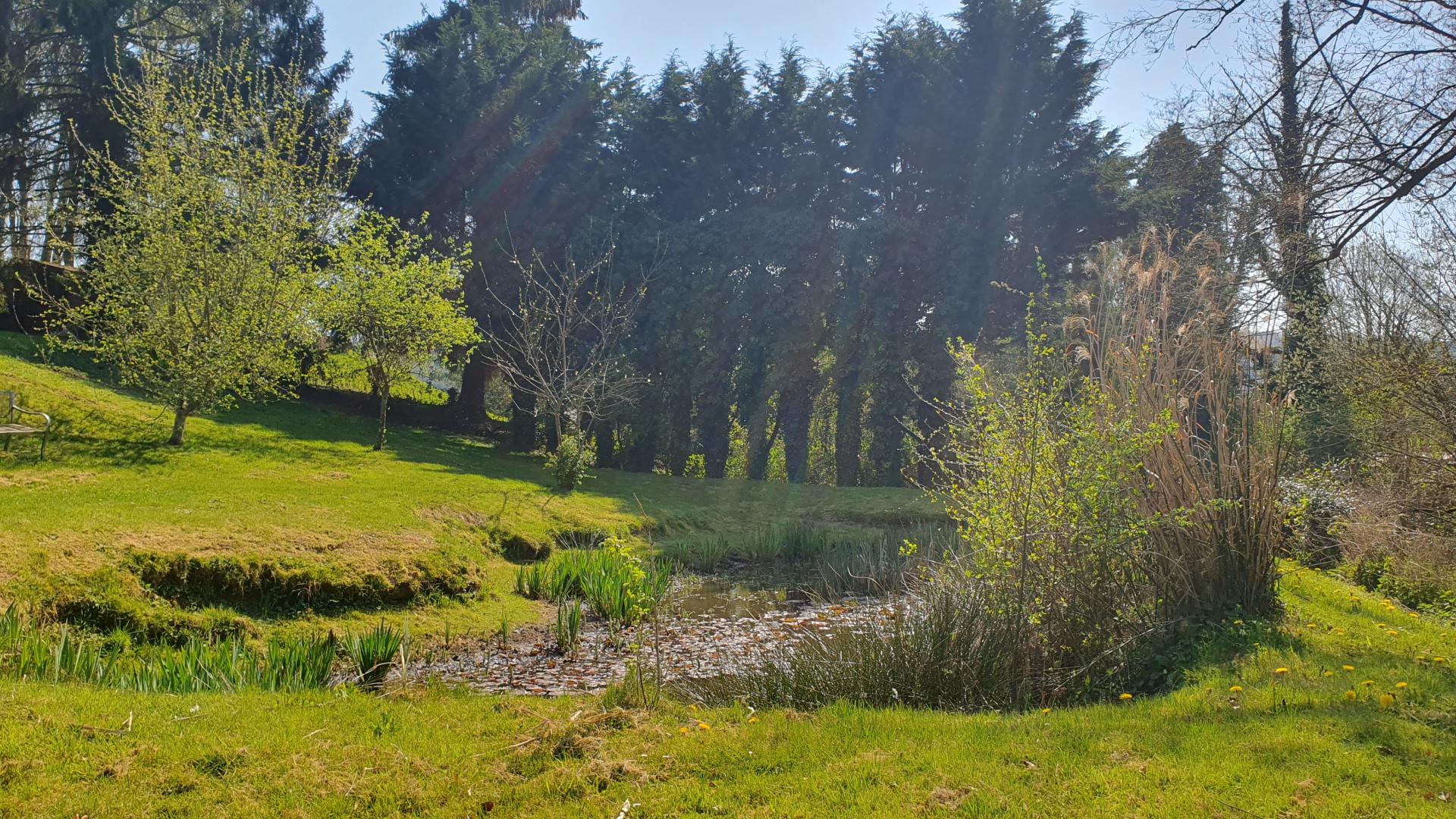 Photo 4 de l'annonce.