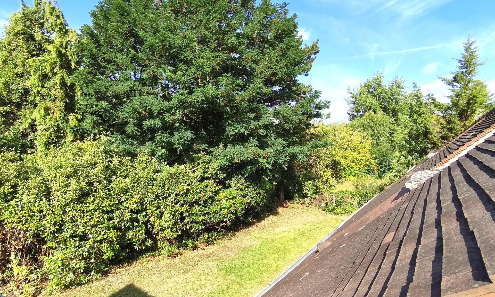 Foto 18 del anuncio.