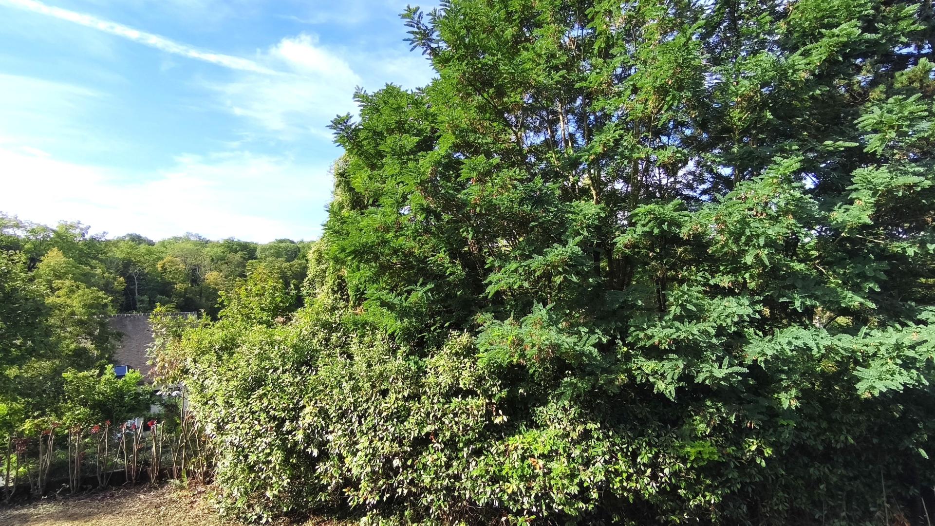 Foto 11 del anuncio.