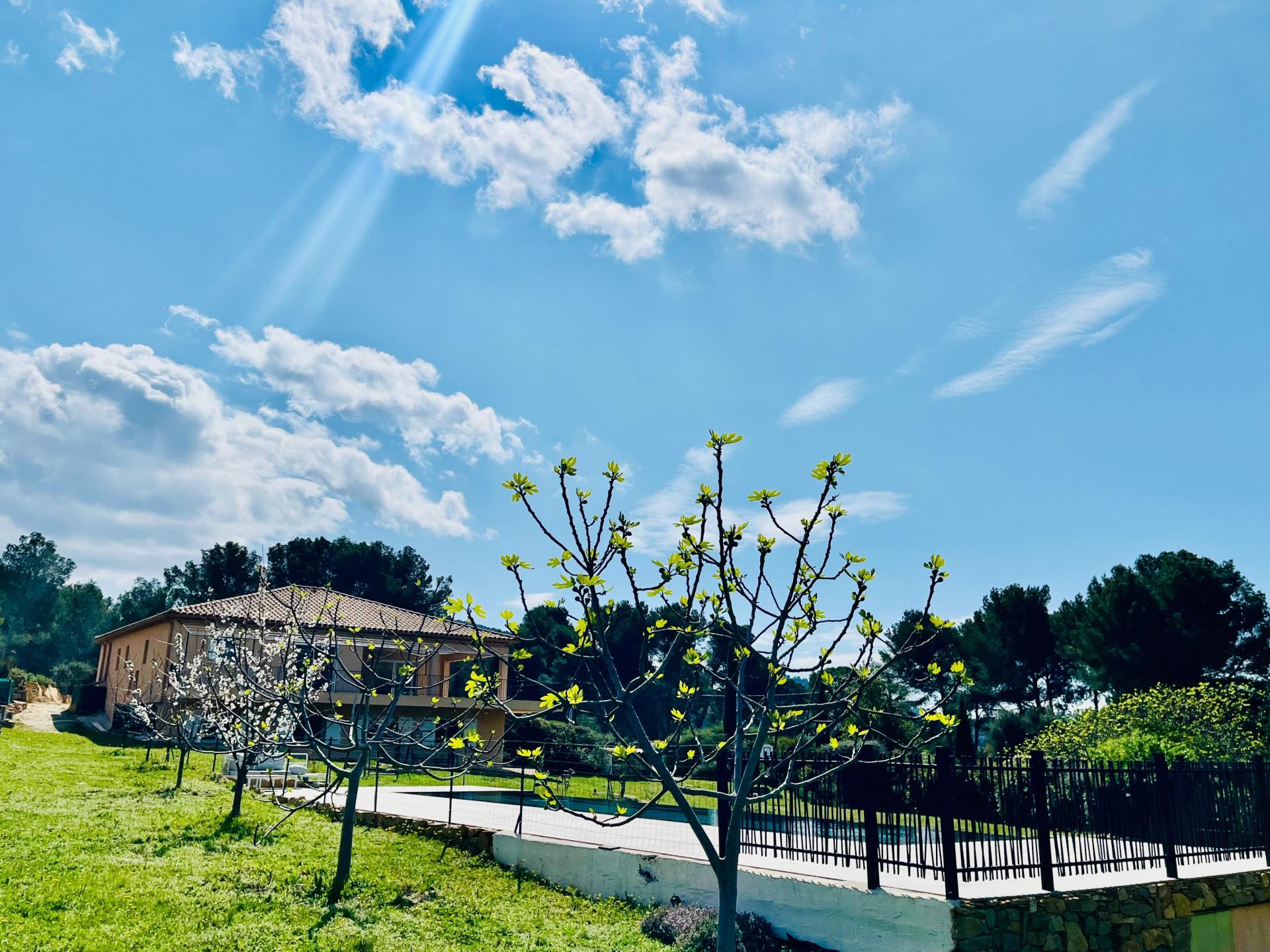 Photo 13 of the listing.