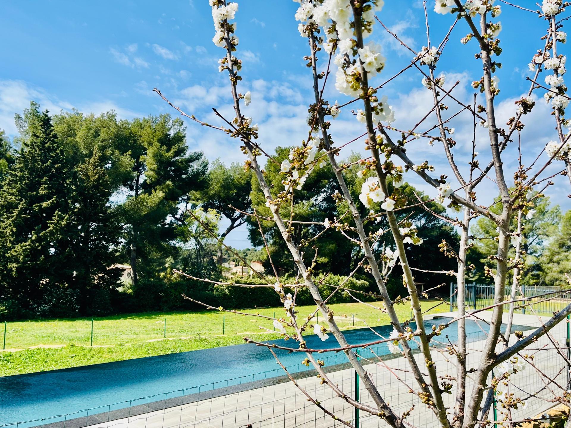 Photo 12 of the listing.