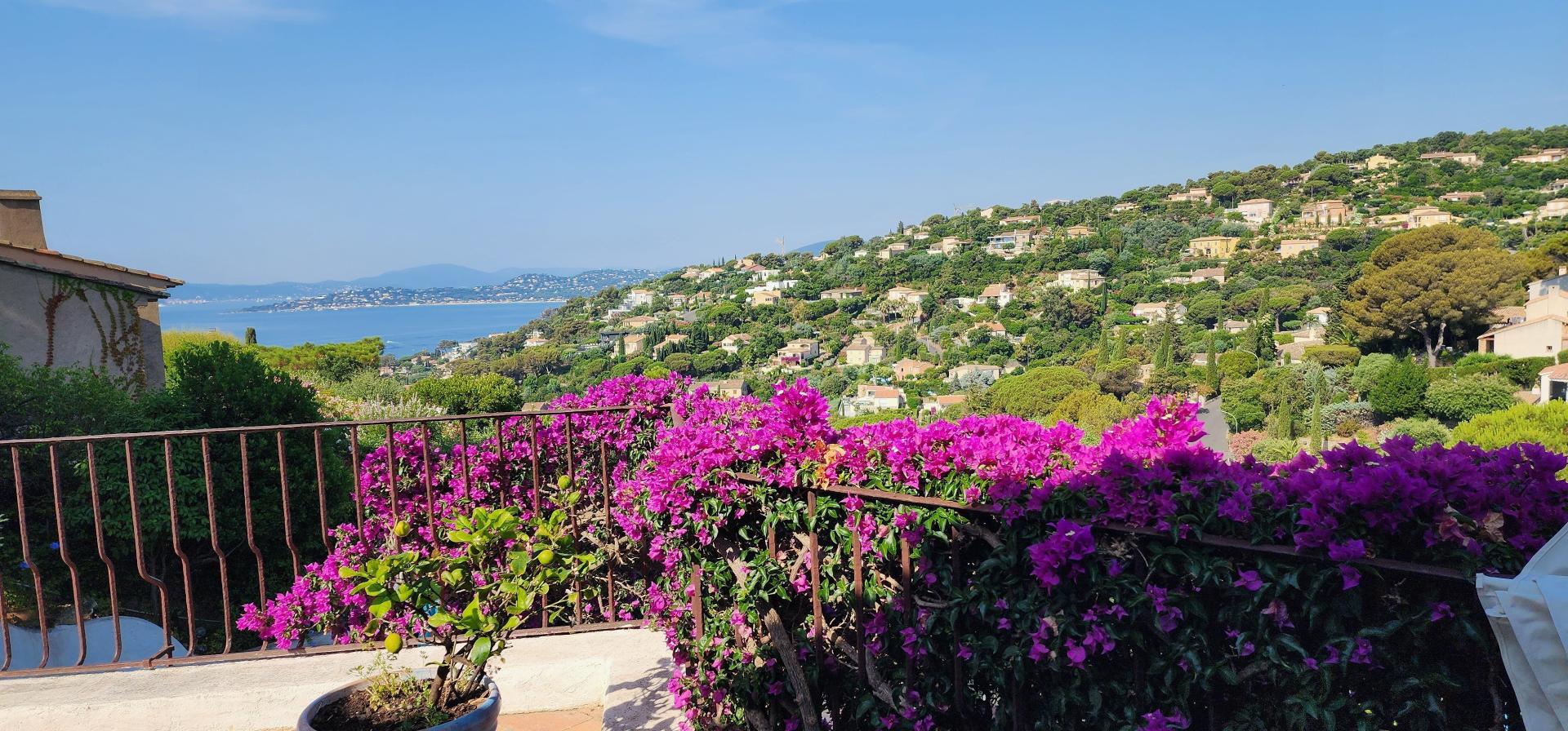 Photo 4 de l'annonce.