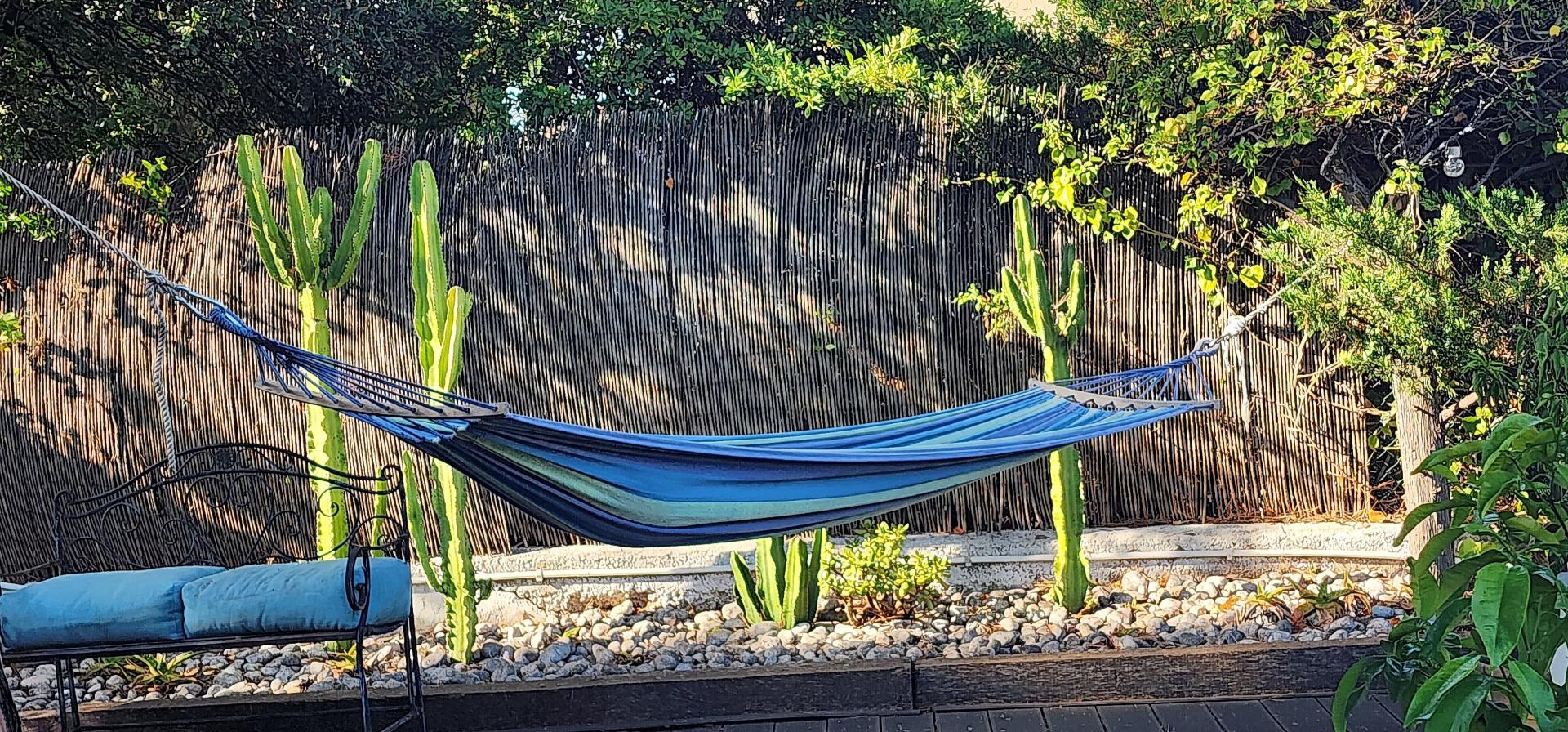 Photo 6 de l'annonce.