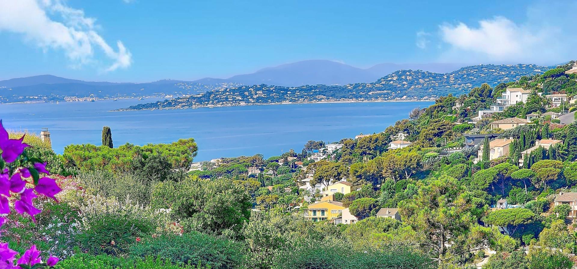 Photo 2 de l'annonce.