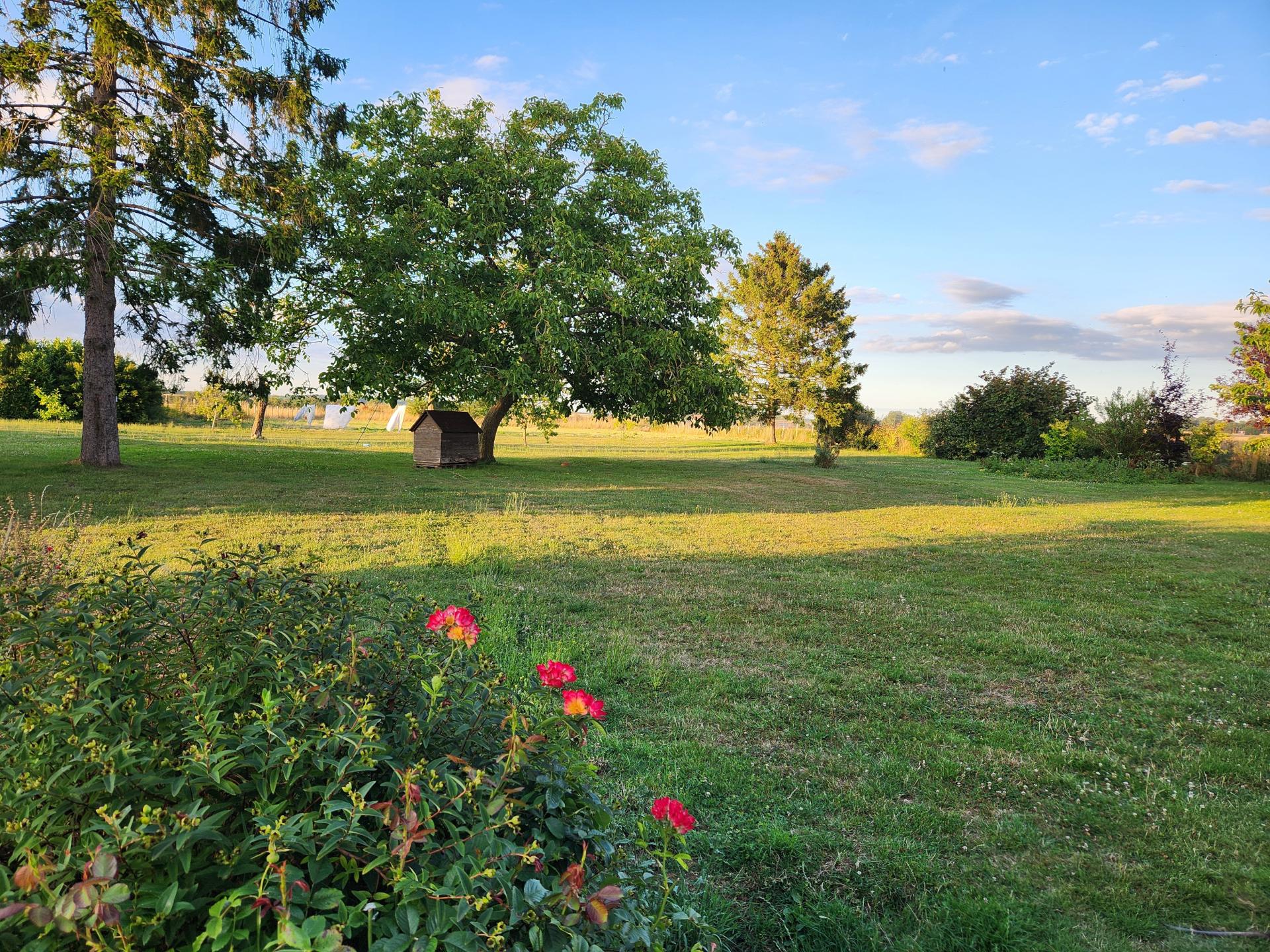 Photo 10 of the listing.