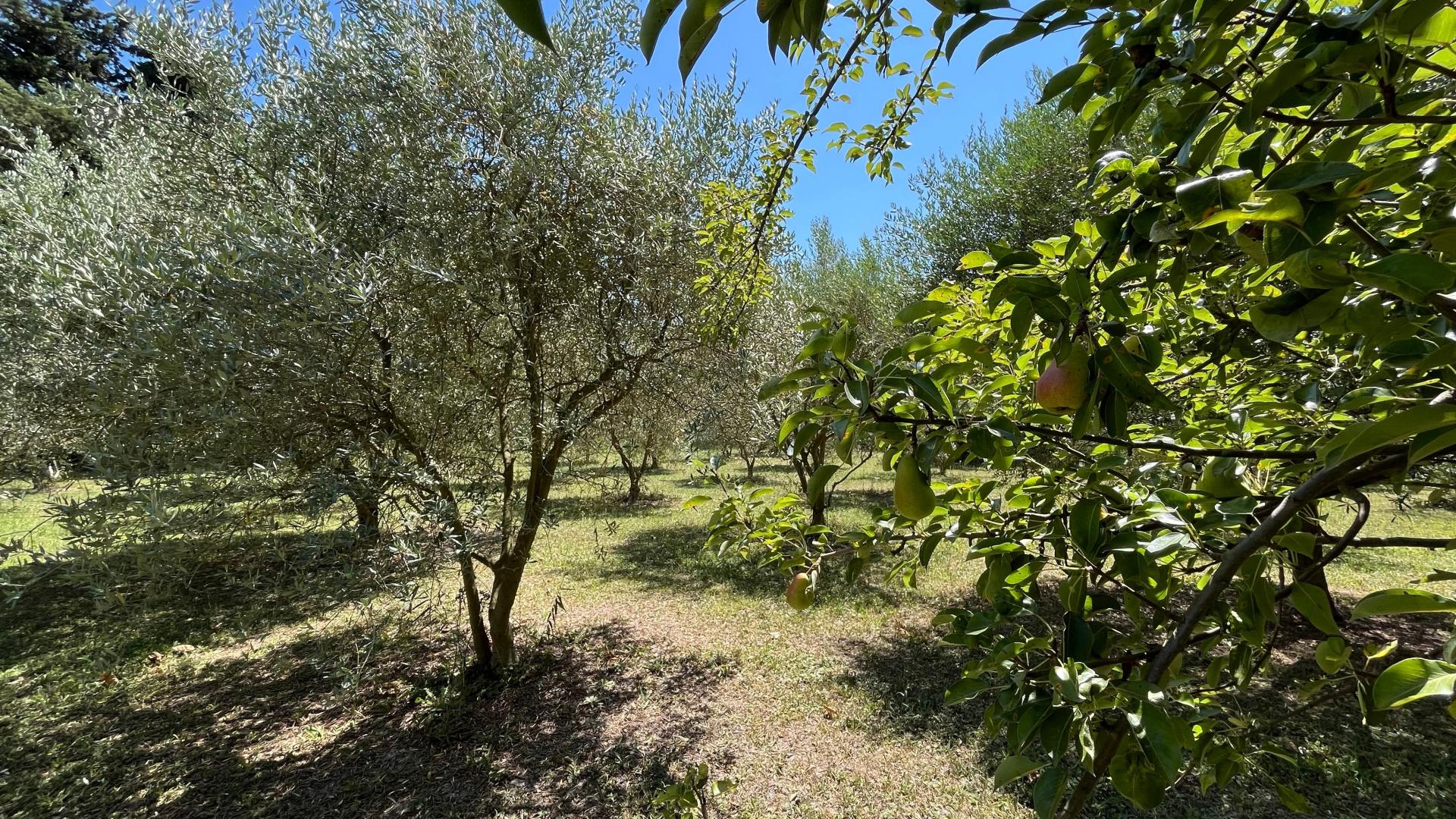 Photo 3 of the listing.