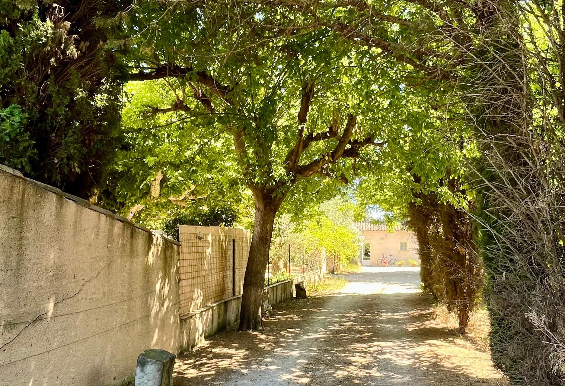 Photo 4 of the listing.