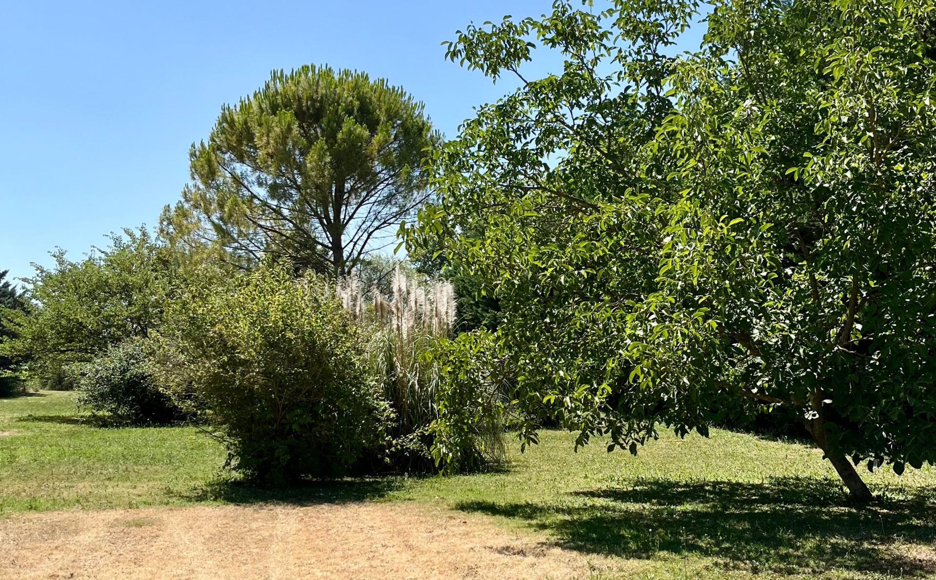 Photo 6 of the listing.