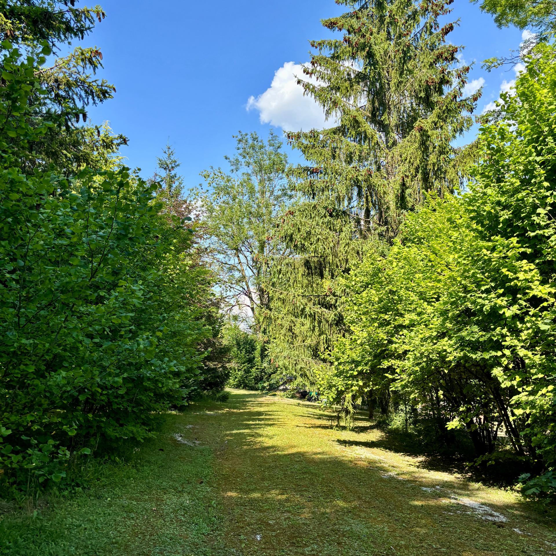 Photo 21 of the listing.