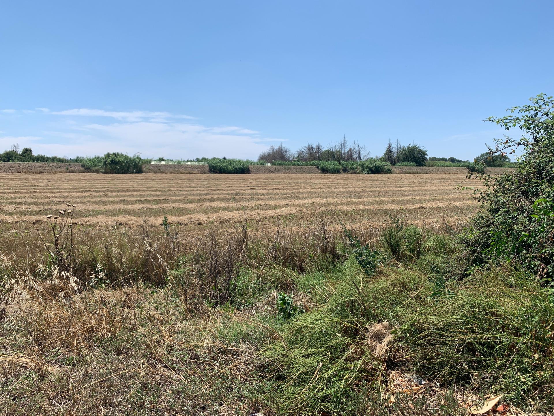 Foto 13 del anuncio.