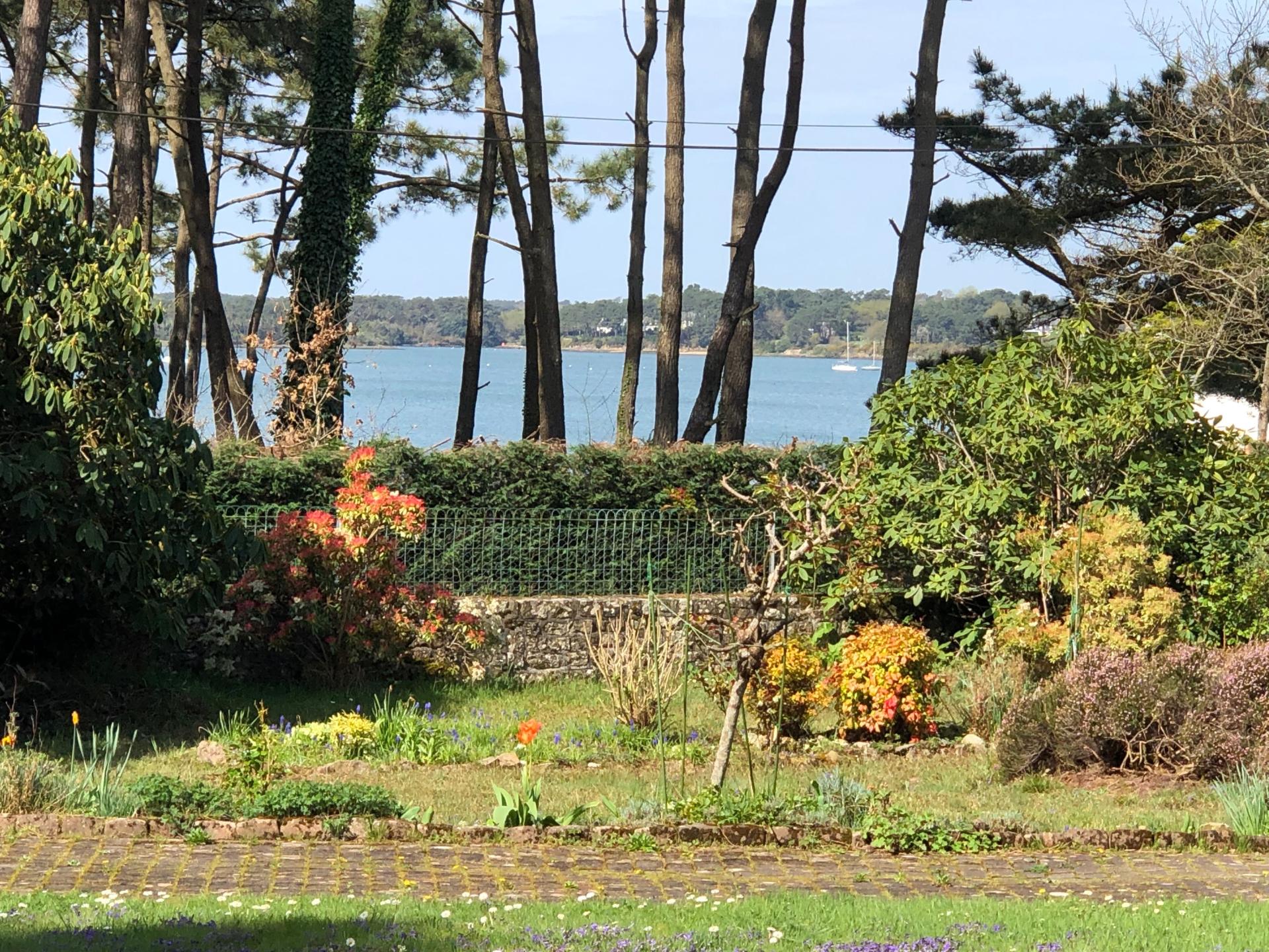 Photo 3 de l'annonce.