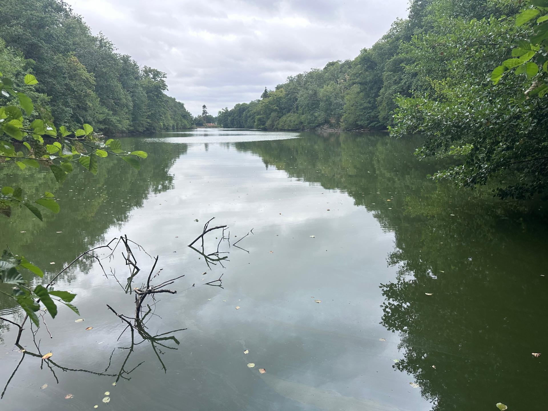 Photo 3 de l'annonce.