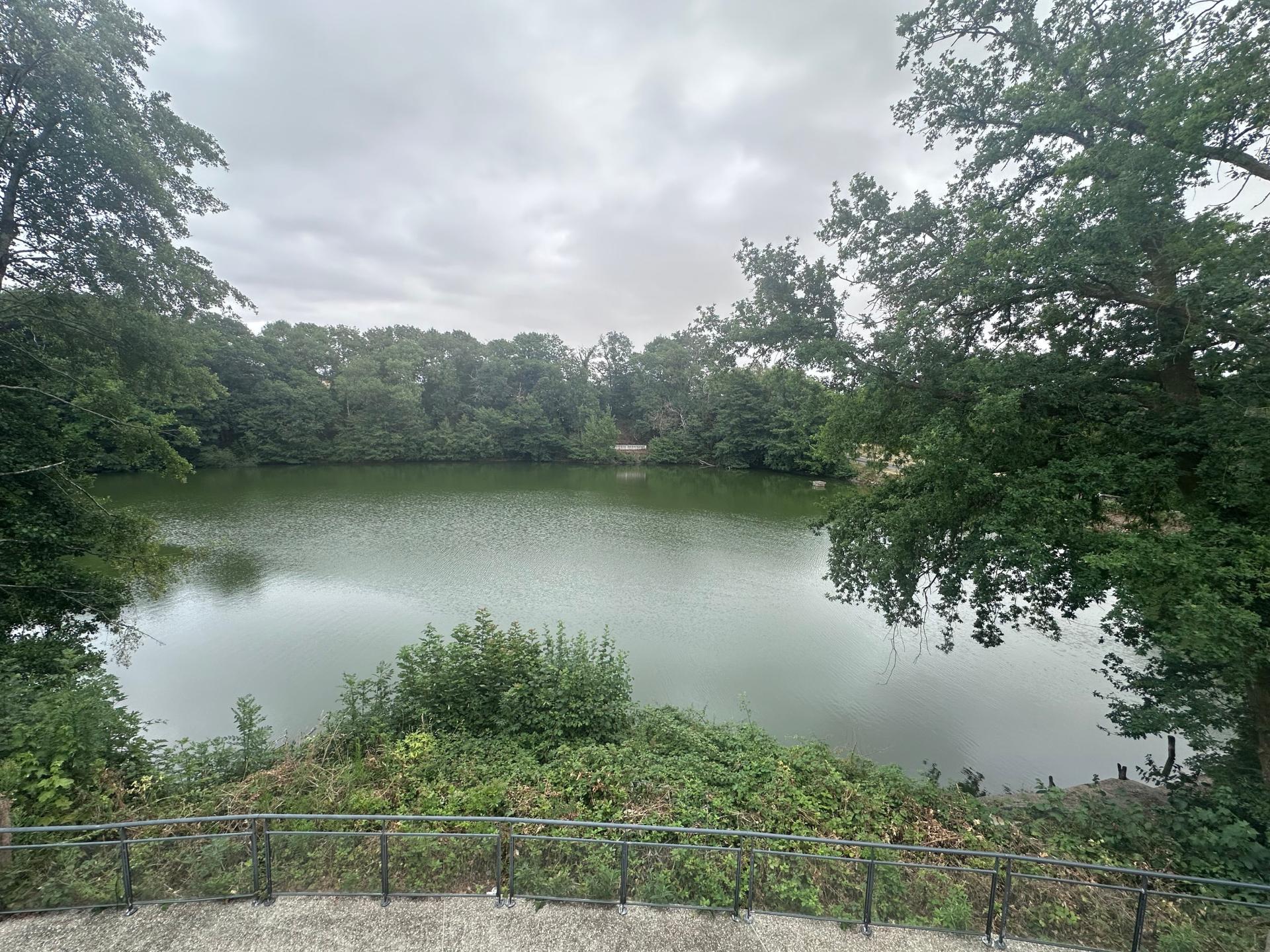 Photo 5 de l'annonce.