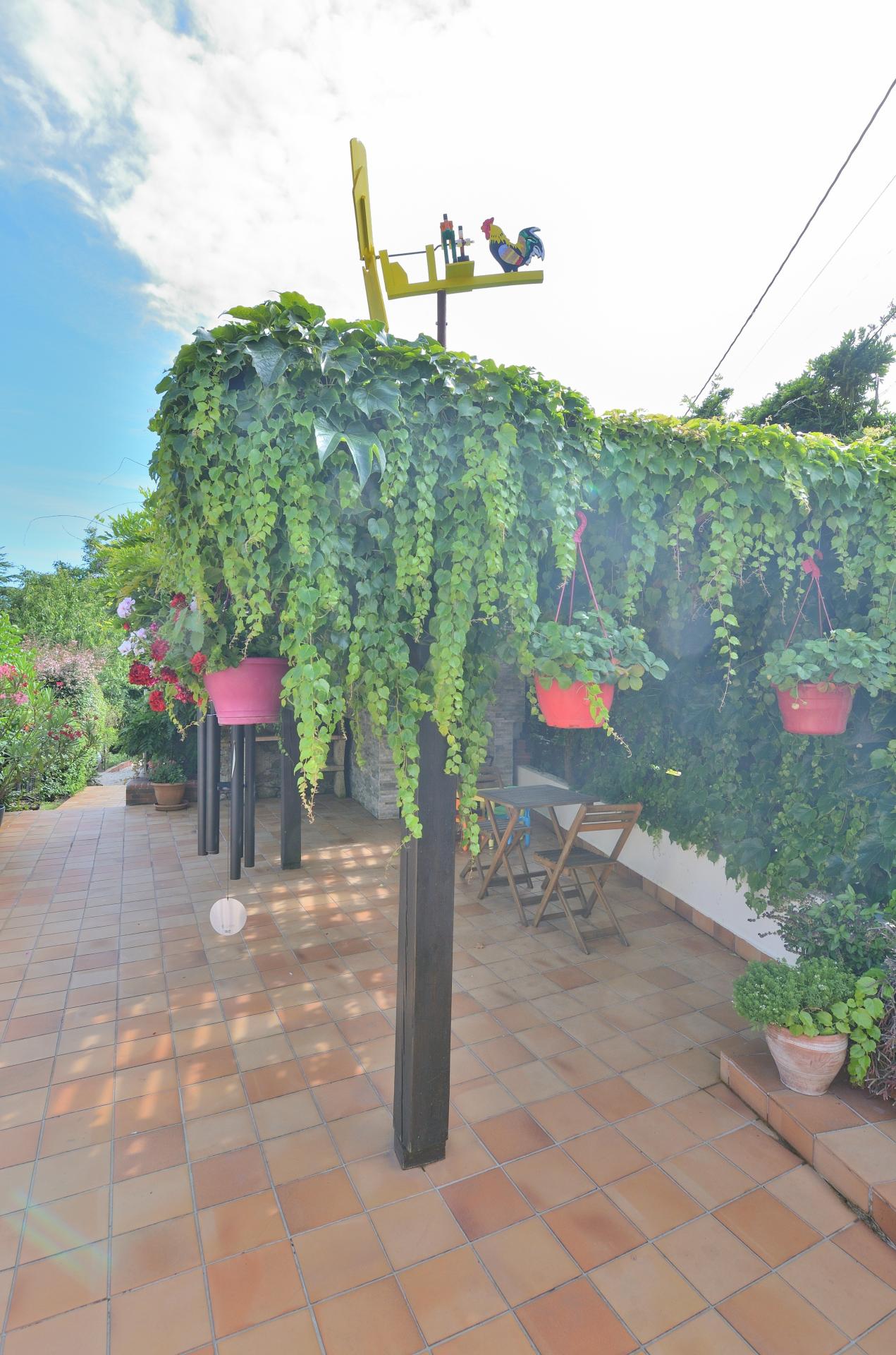 Foto 33 del anuncio.