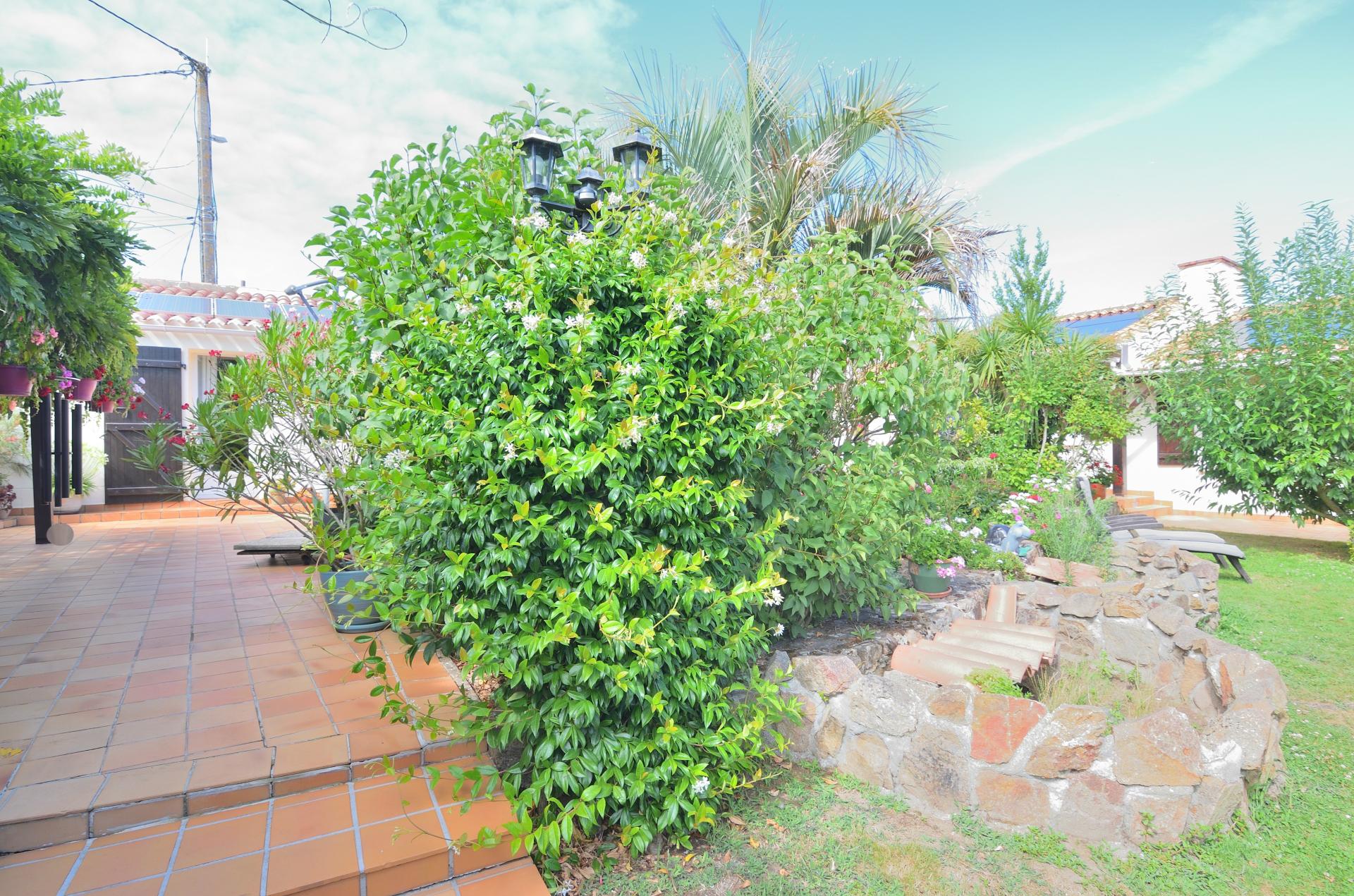 Foto 32 del anuncio.