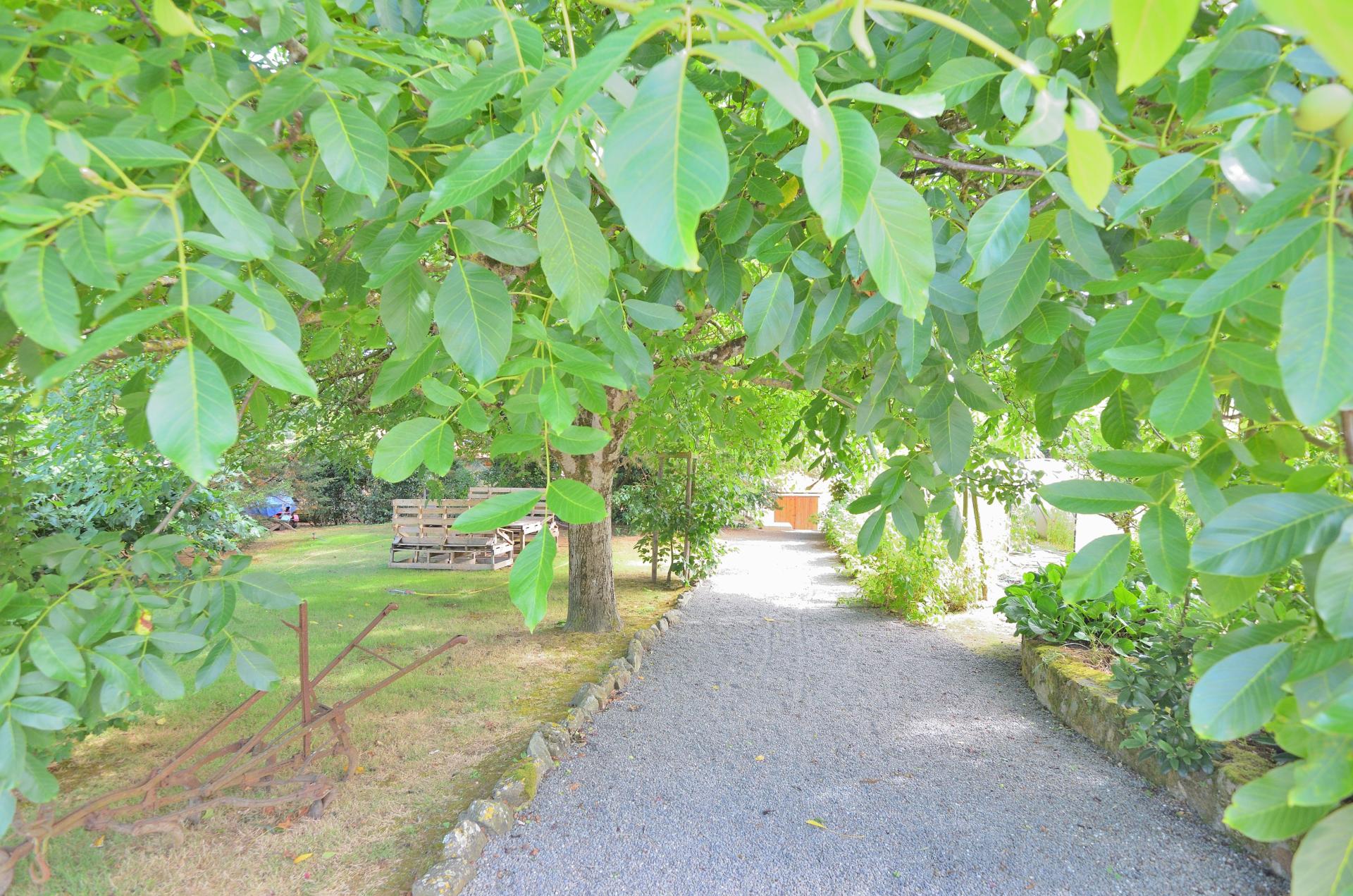 Foto 30 del anuncio.