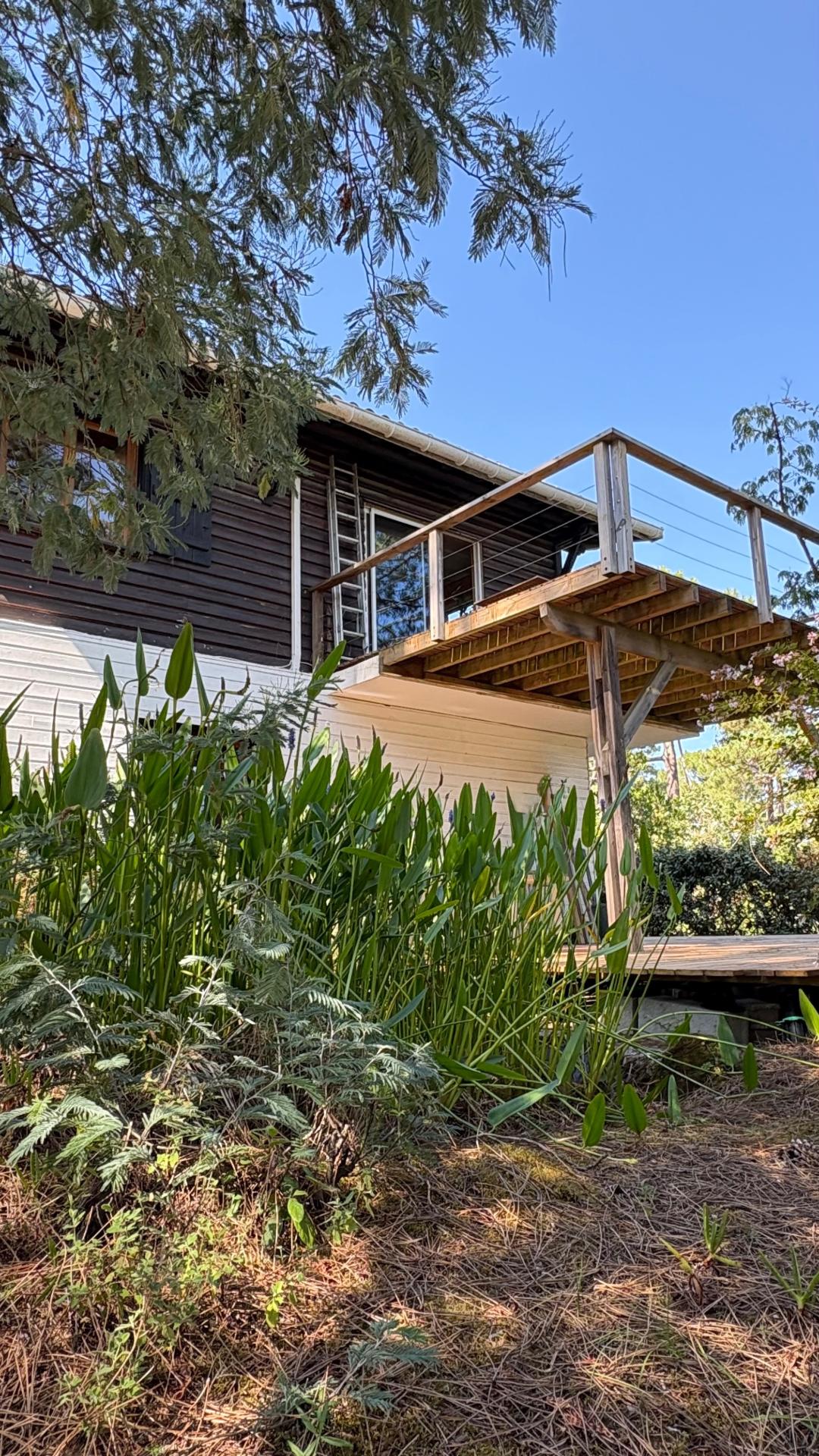 Photo 3 de l'annonce.