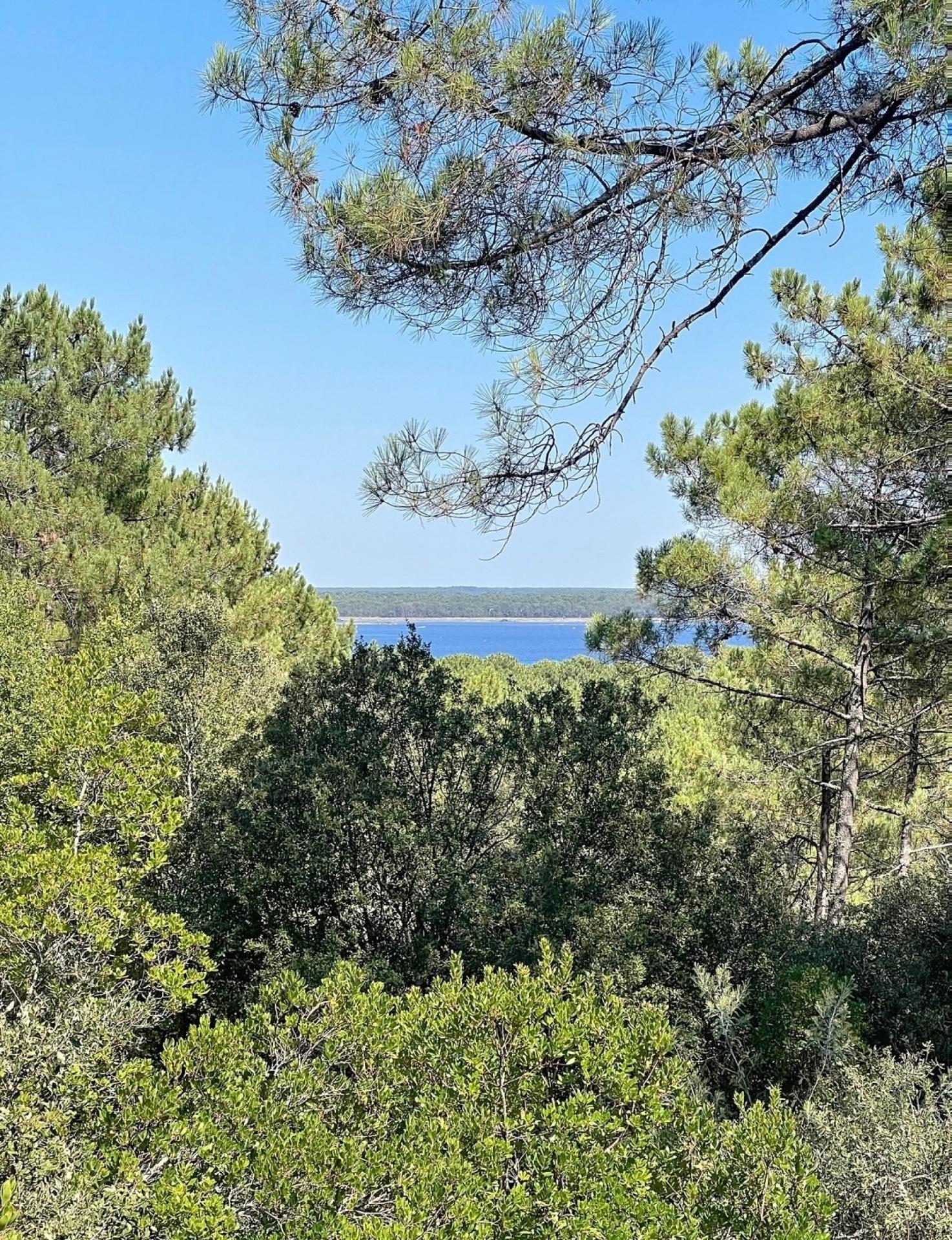 Photo 5 de l'annonce.