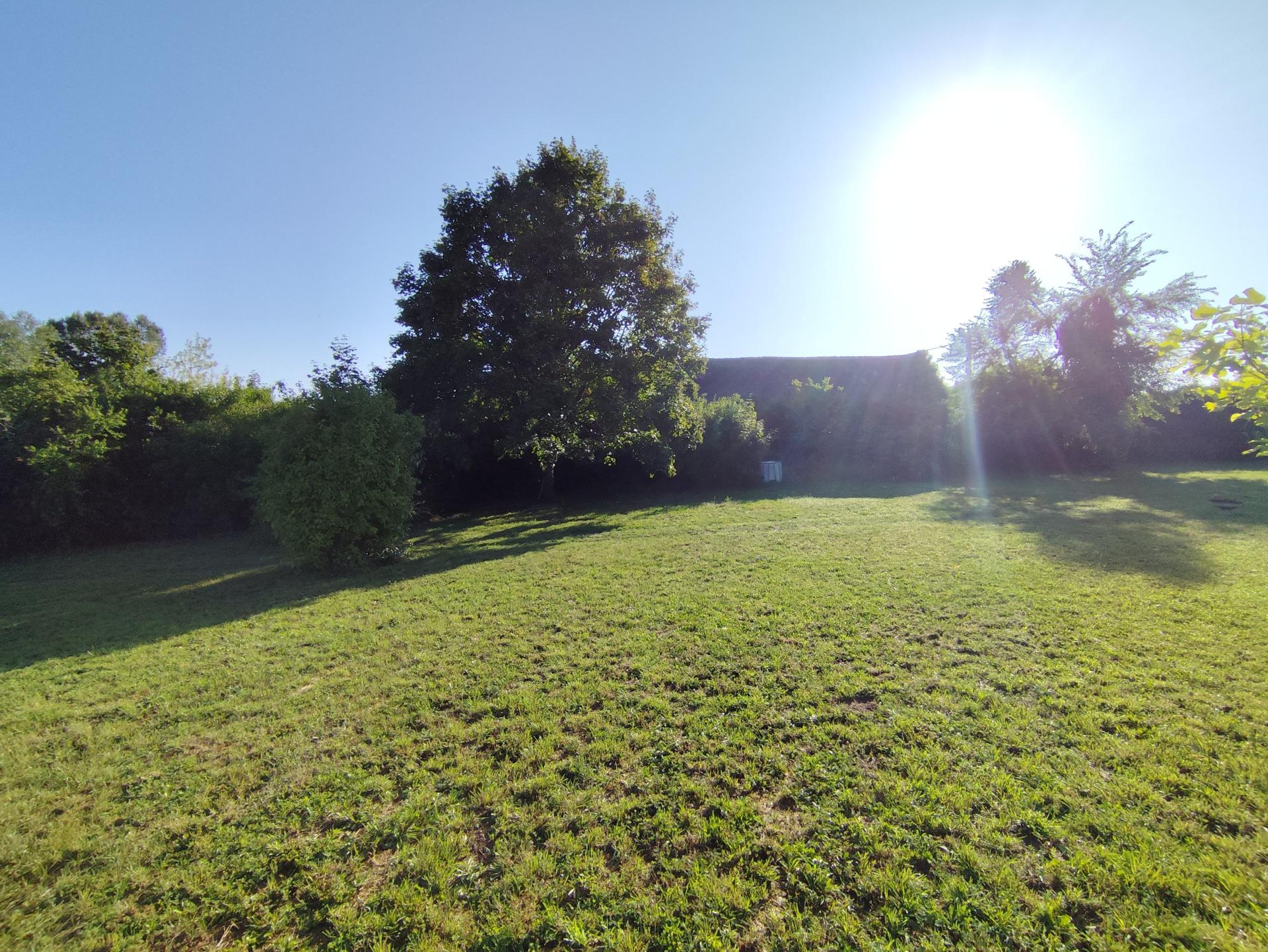 Photo 11 of the listing.