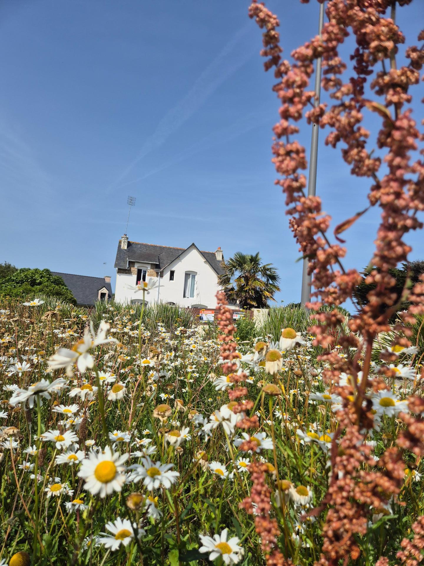Photo-maison