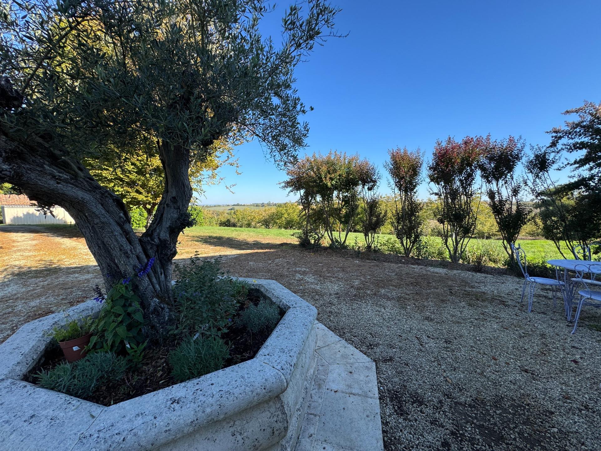 Photo 13 de l'annonce.