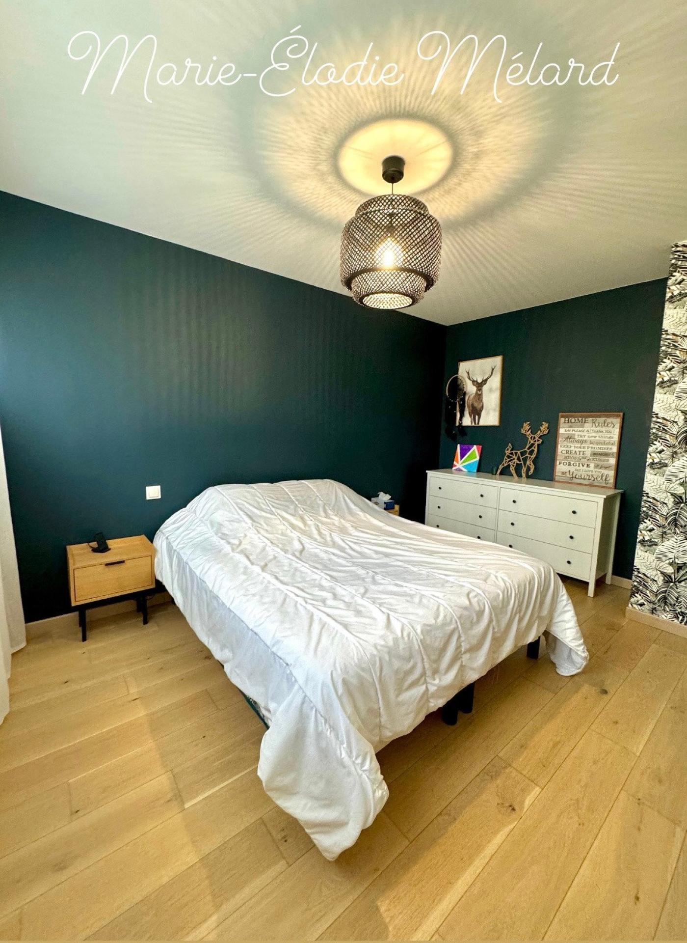 Photo 11 de l'annonce.