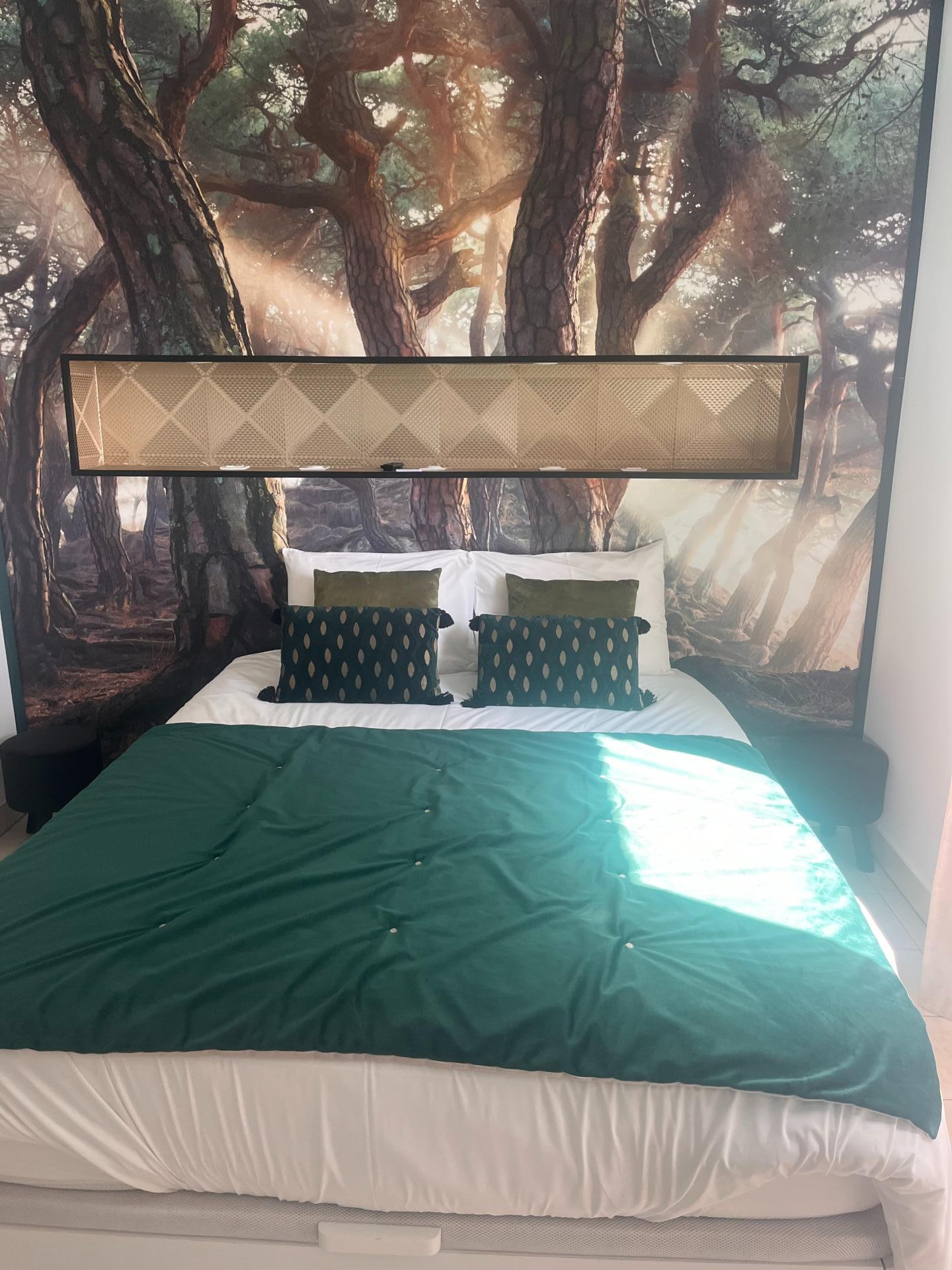 Foto 11 del anuncio.