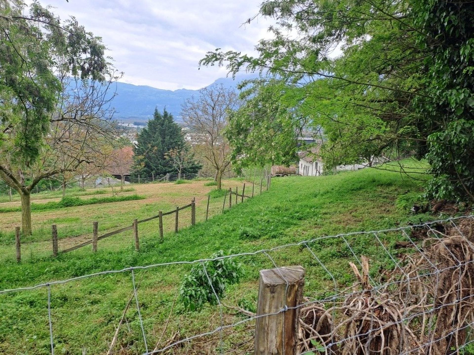 Photographie descriptive du bien