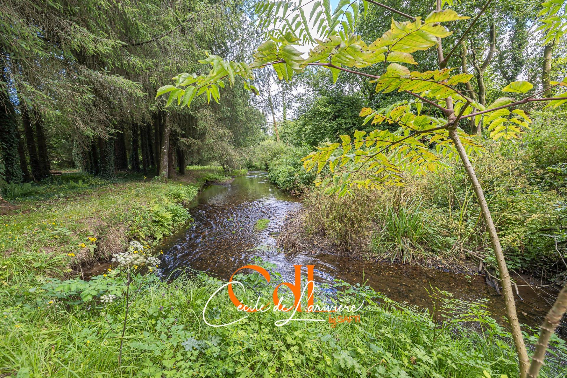 Photo 53 of the listing.