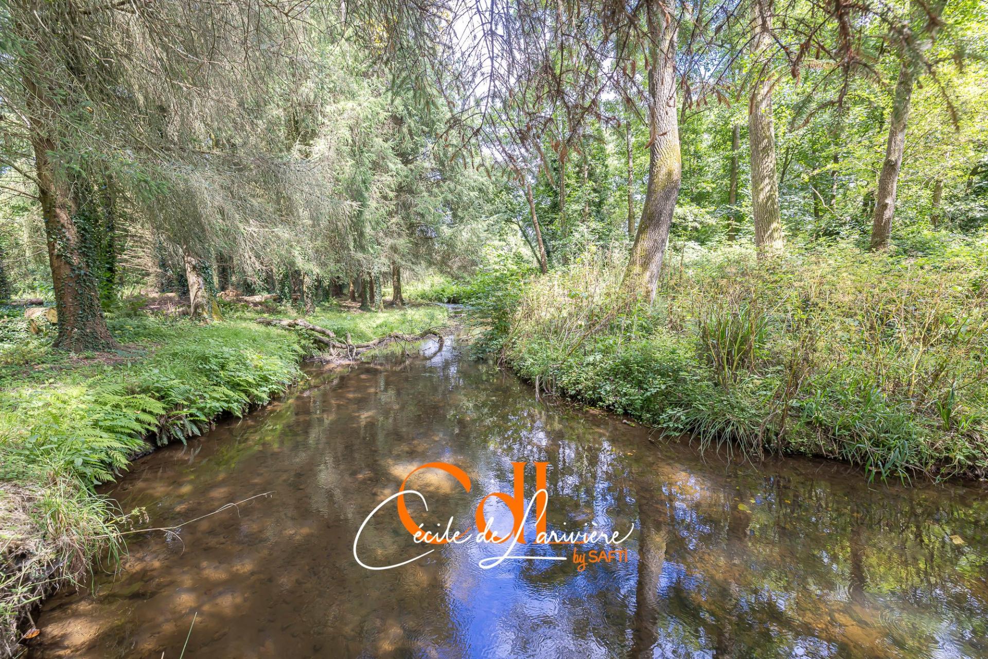 Photo 55 of the listing.