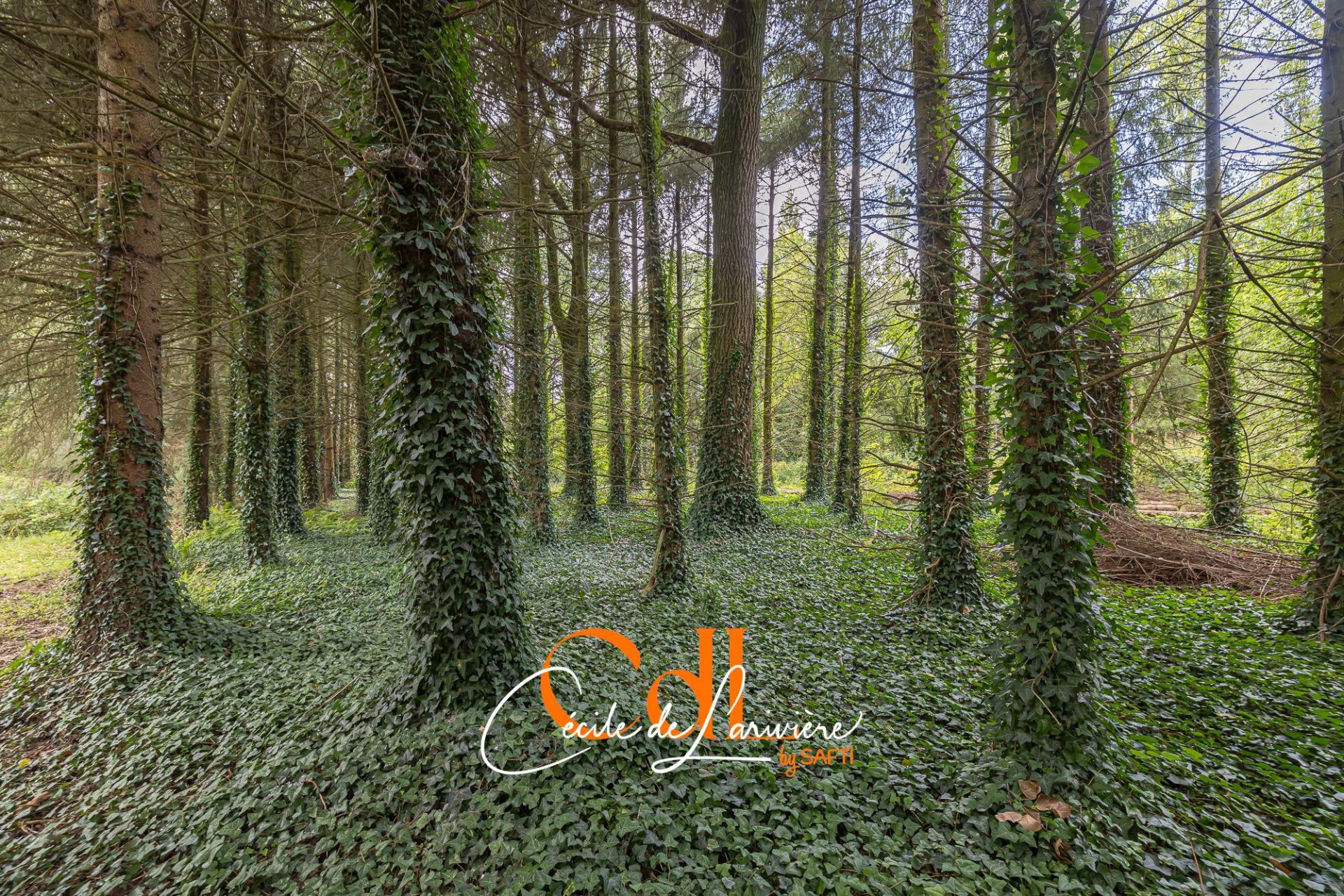 Photo 51 of the listing.