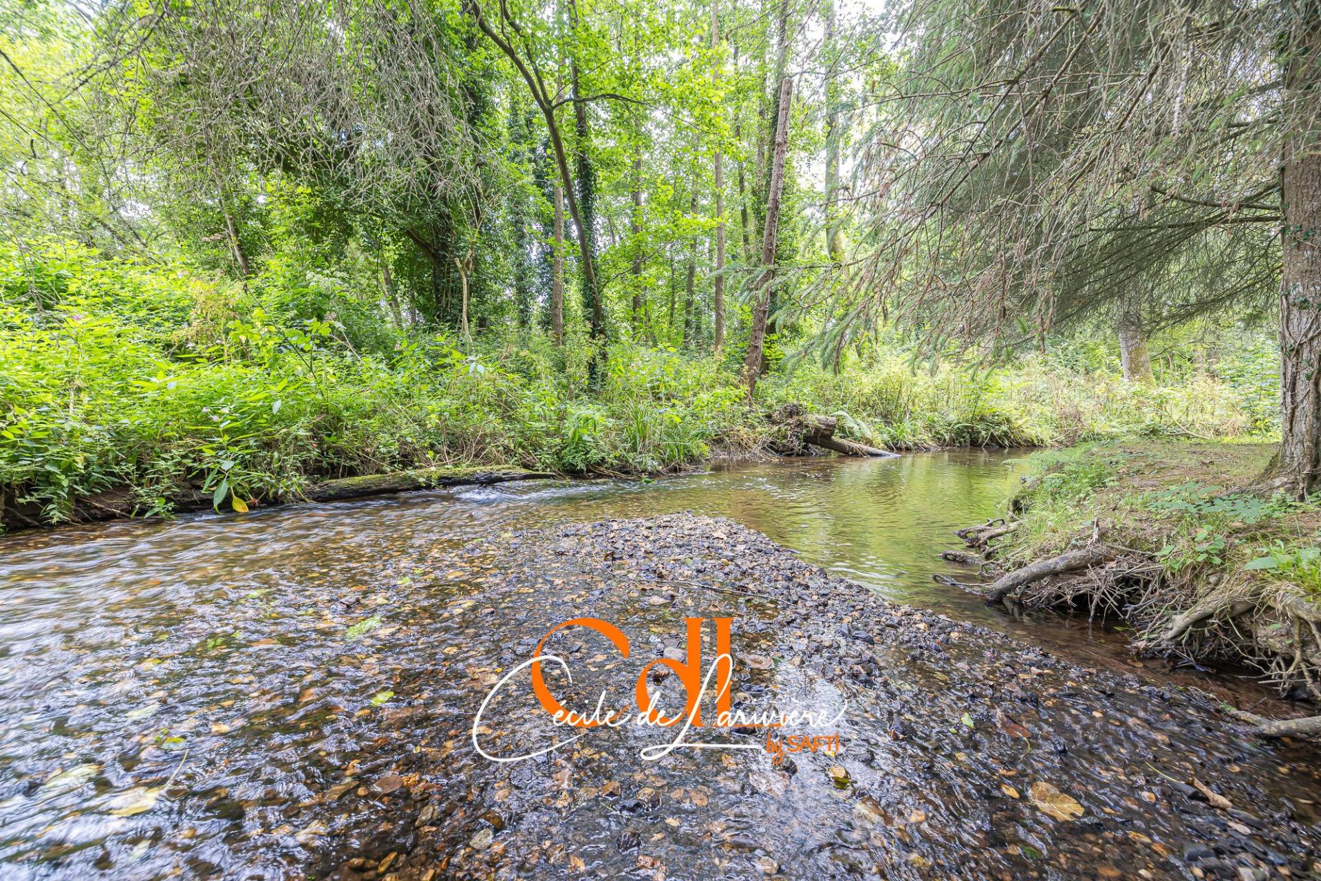 Photo 19 of the listing.