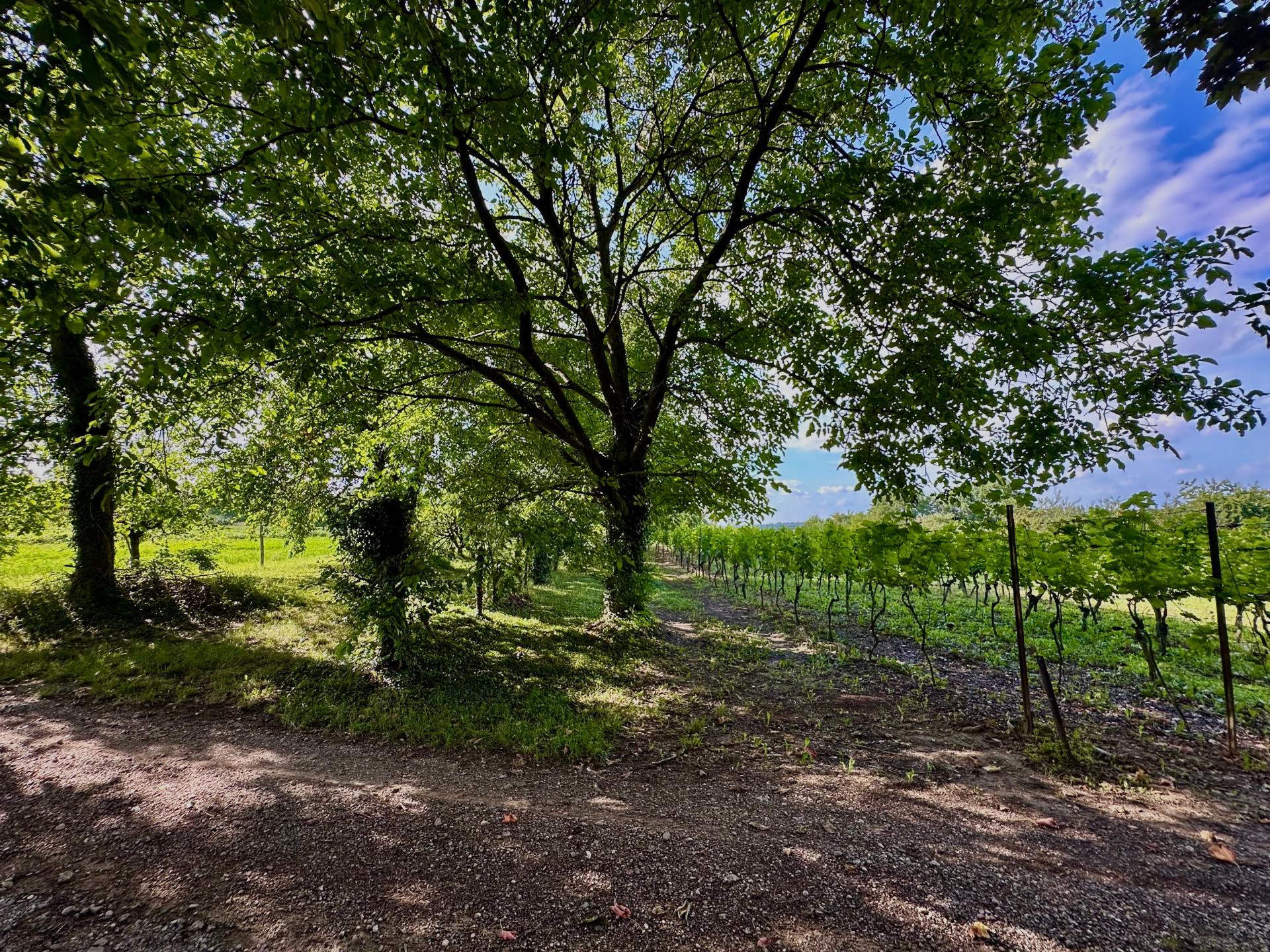 Photo 14 de l'annonce.