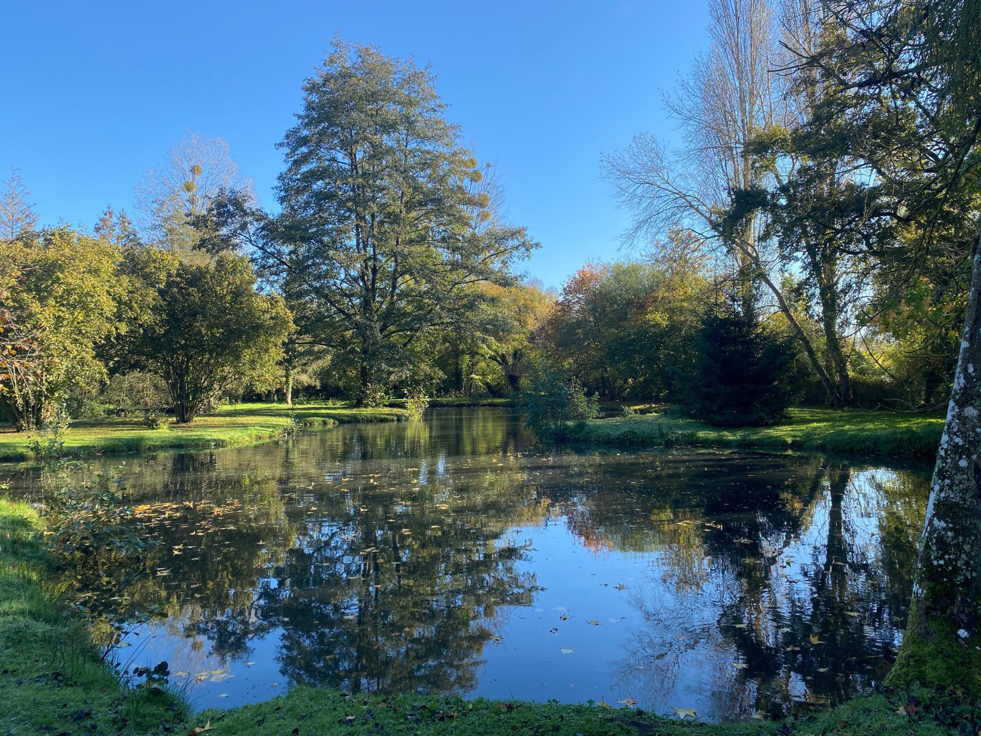 Photo 15 de l'annonce.