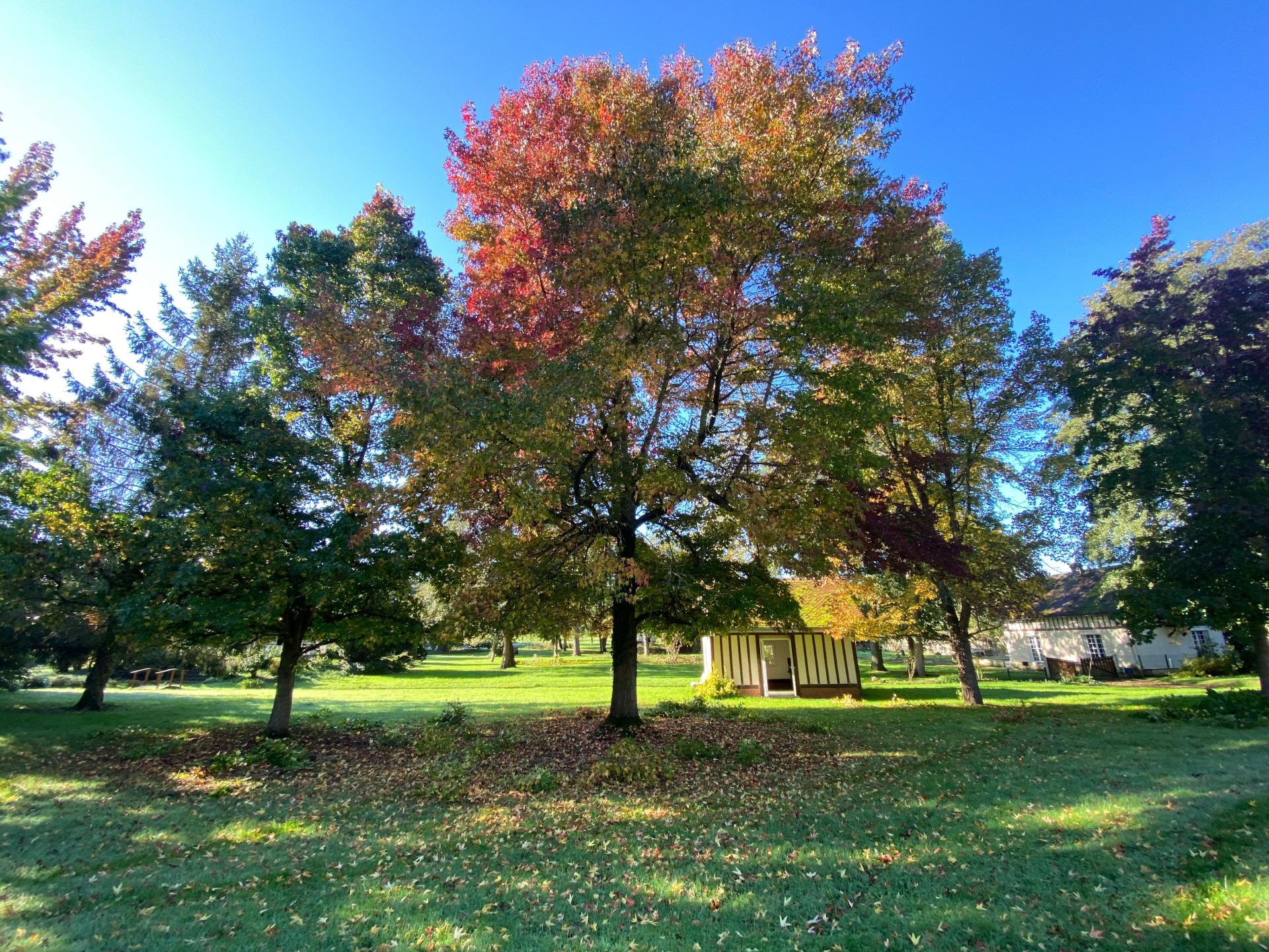 Photo 4 de l'annonce.