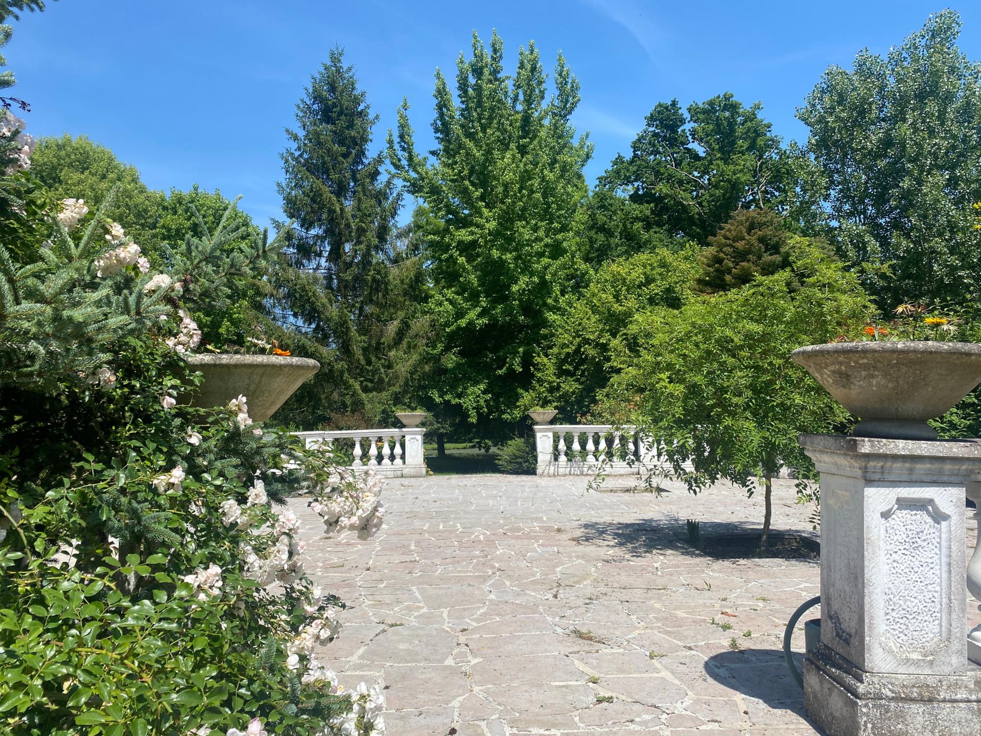 Photo 5 de l'annonce.