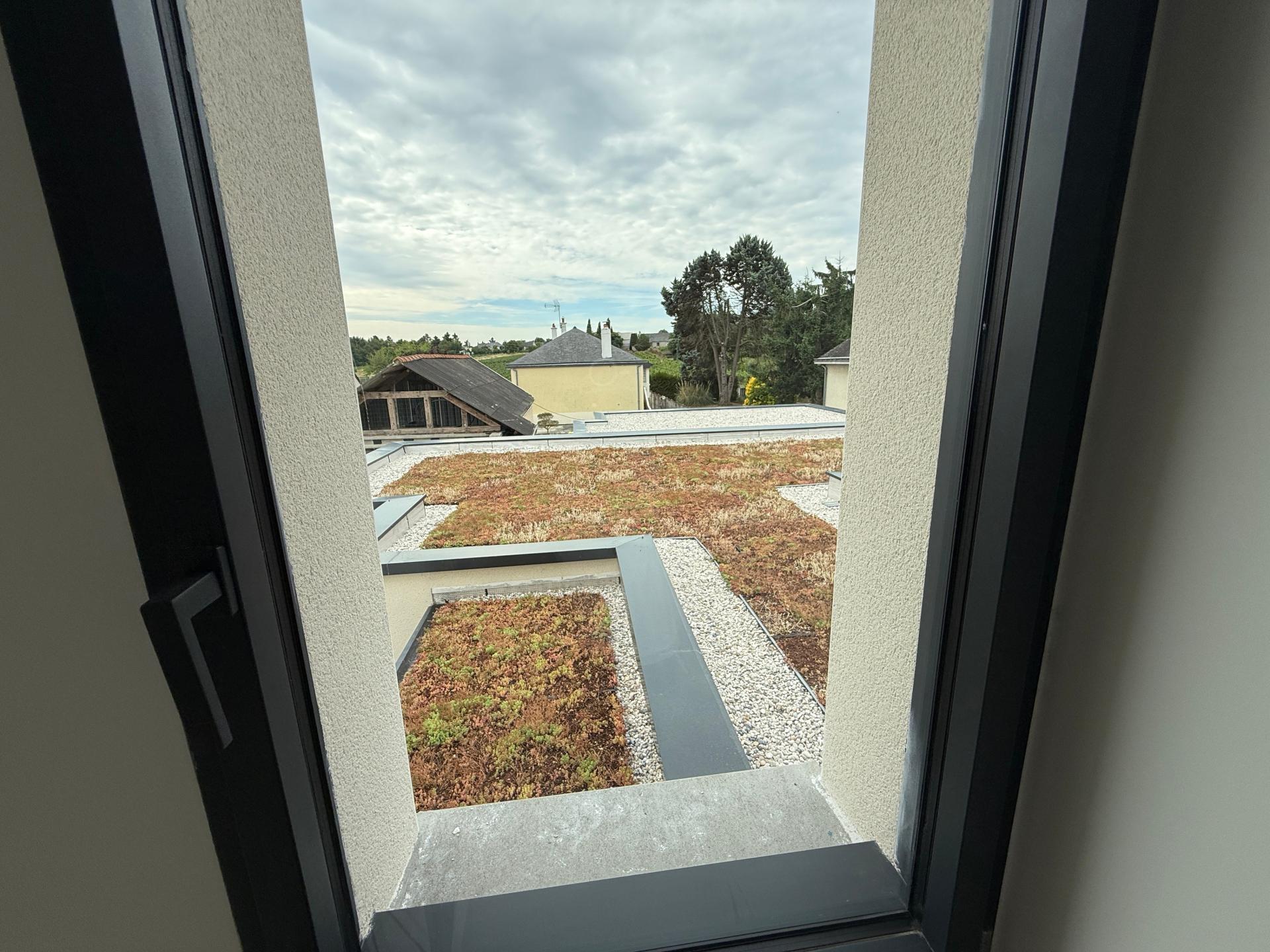 Photo 5 of the listing.