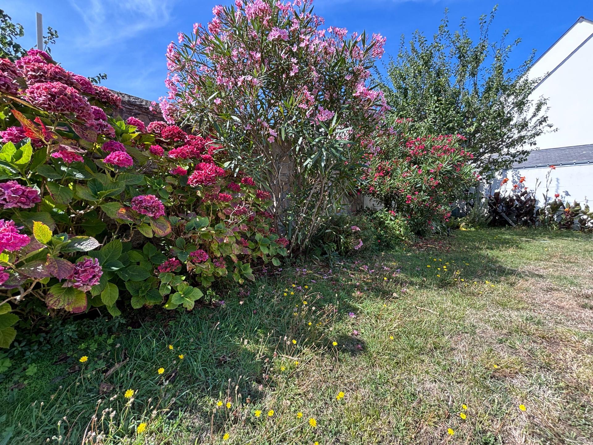 Photo 7 of the listing.