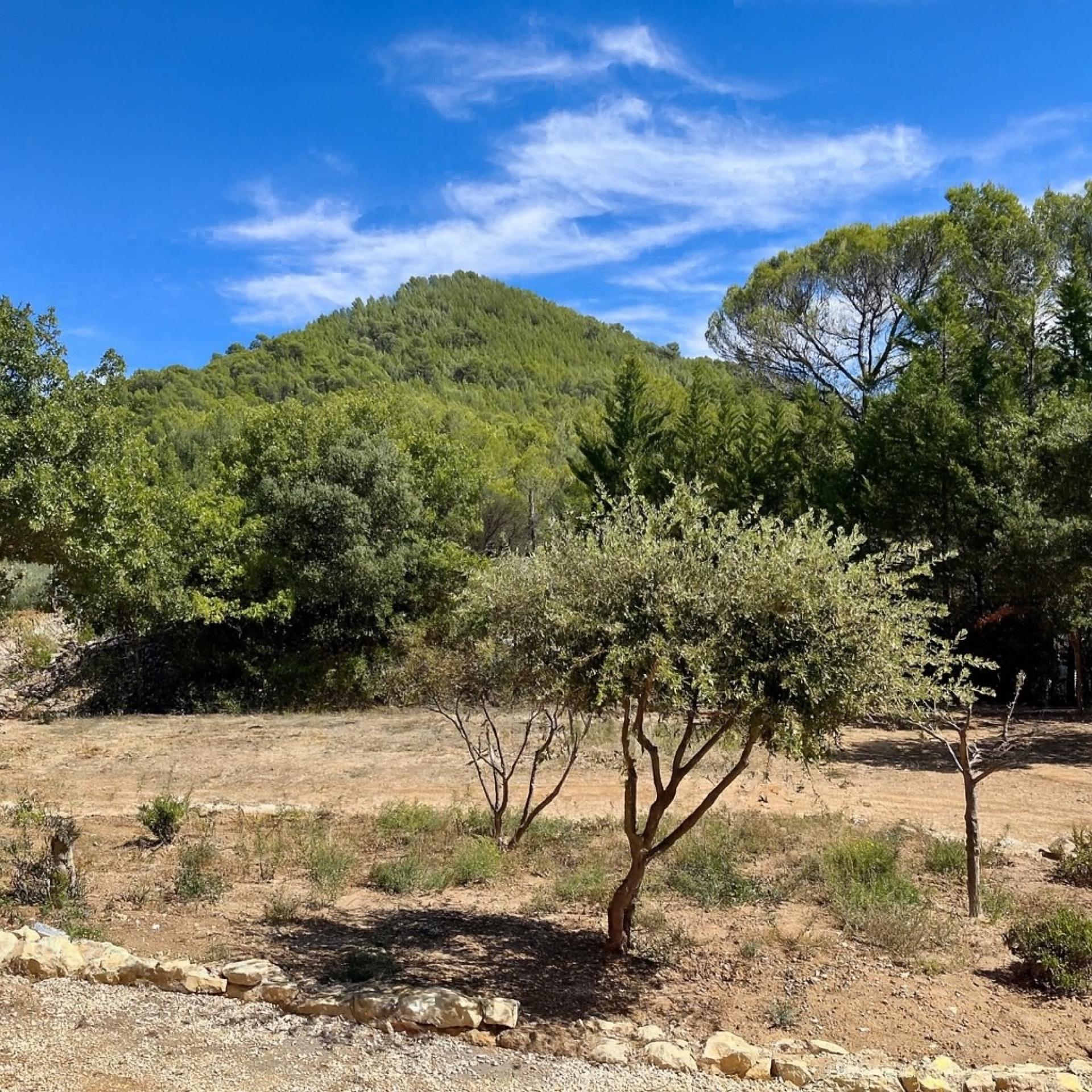 Photo 8 de l'annonce.