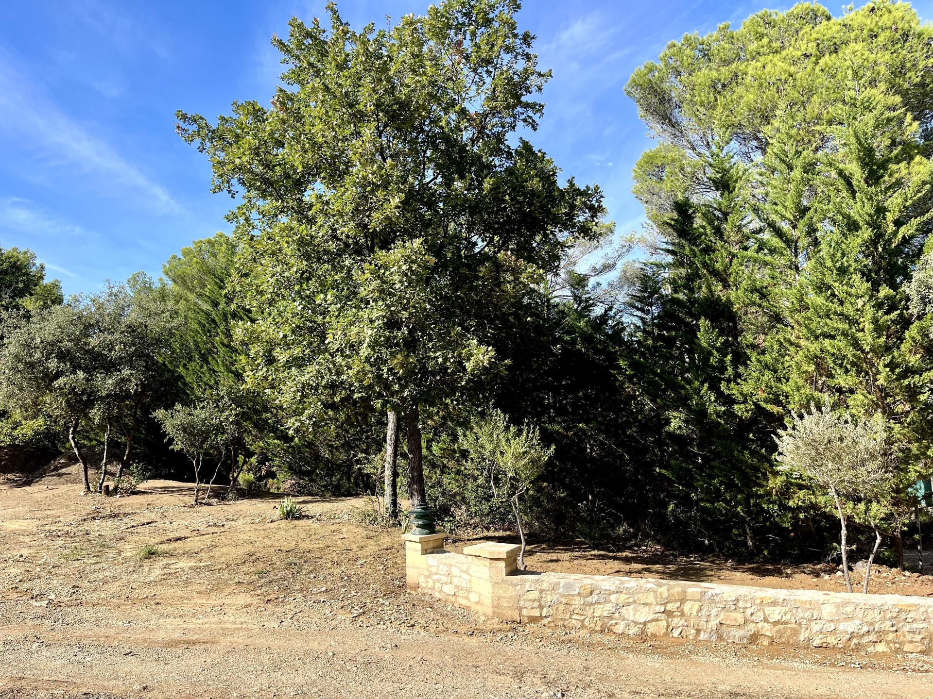 Photo 9 de l'annonce.