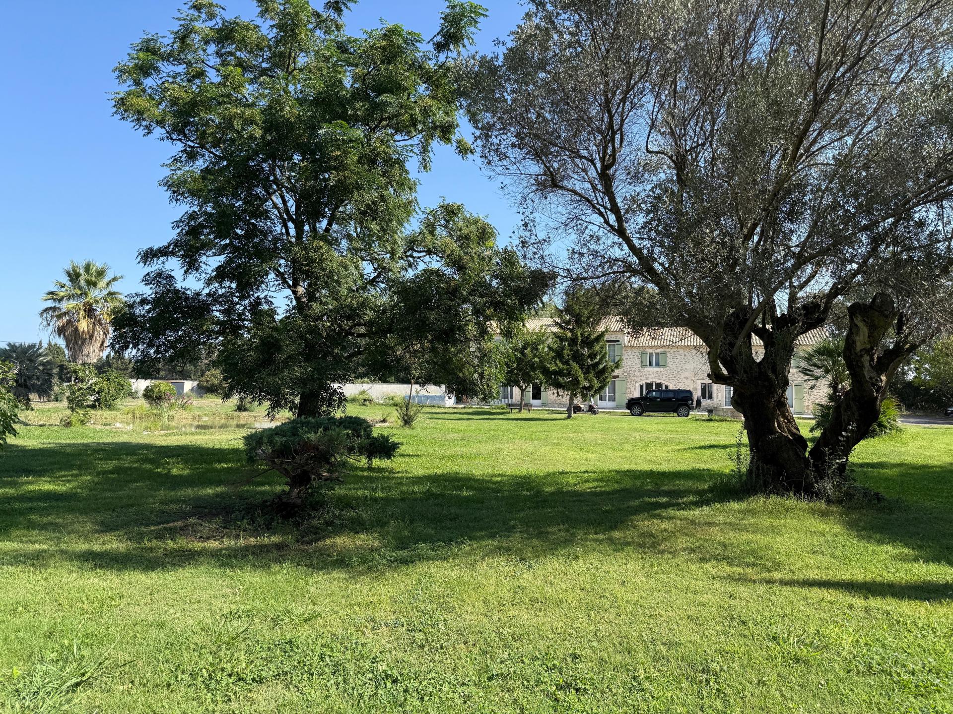 Photo 2 de l'annonce.