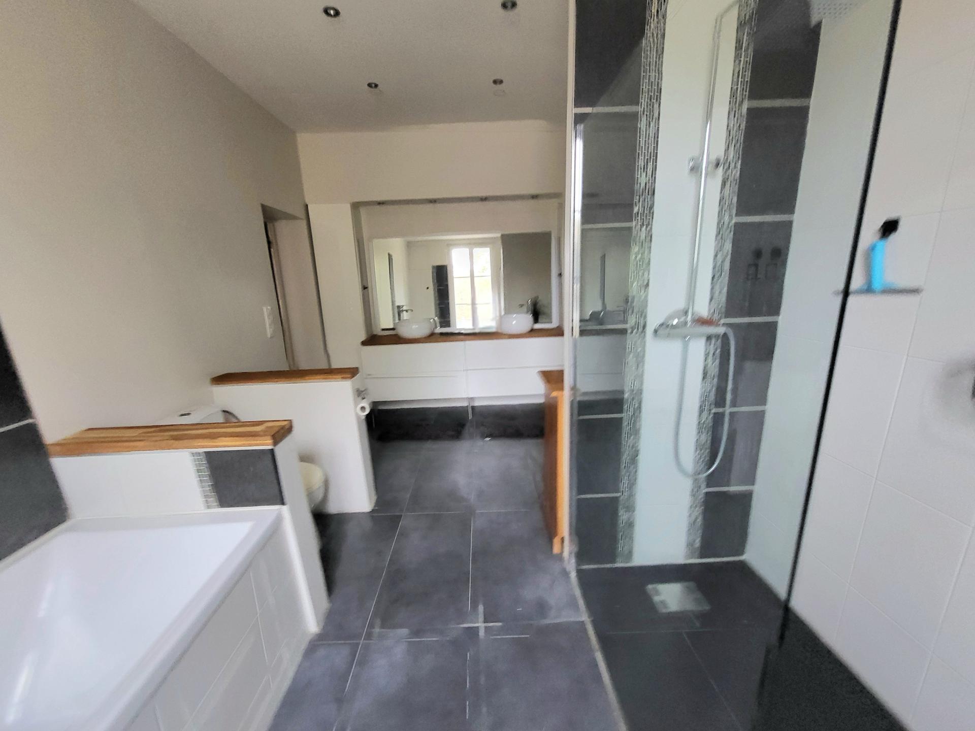 Photo 10 de l'annonce.