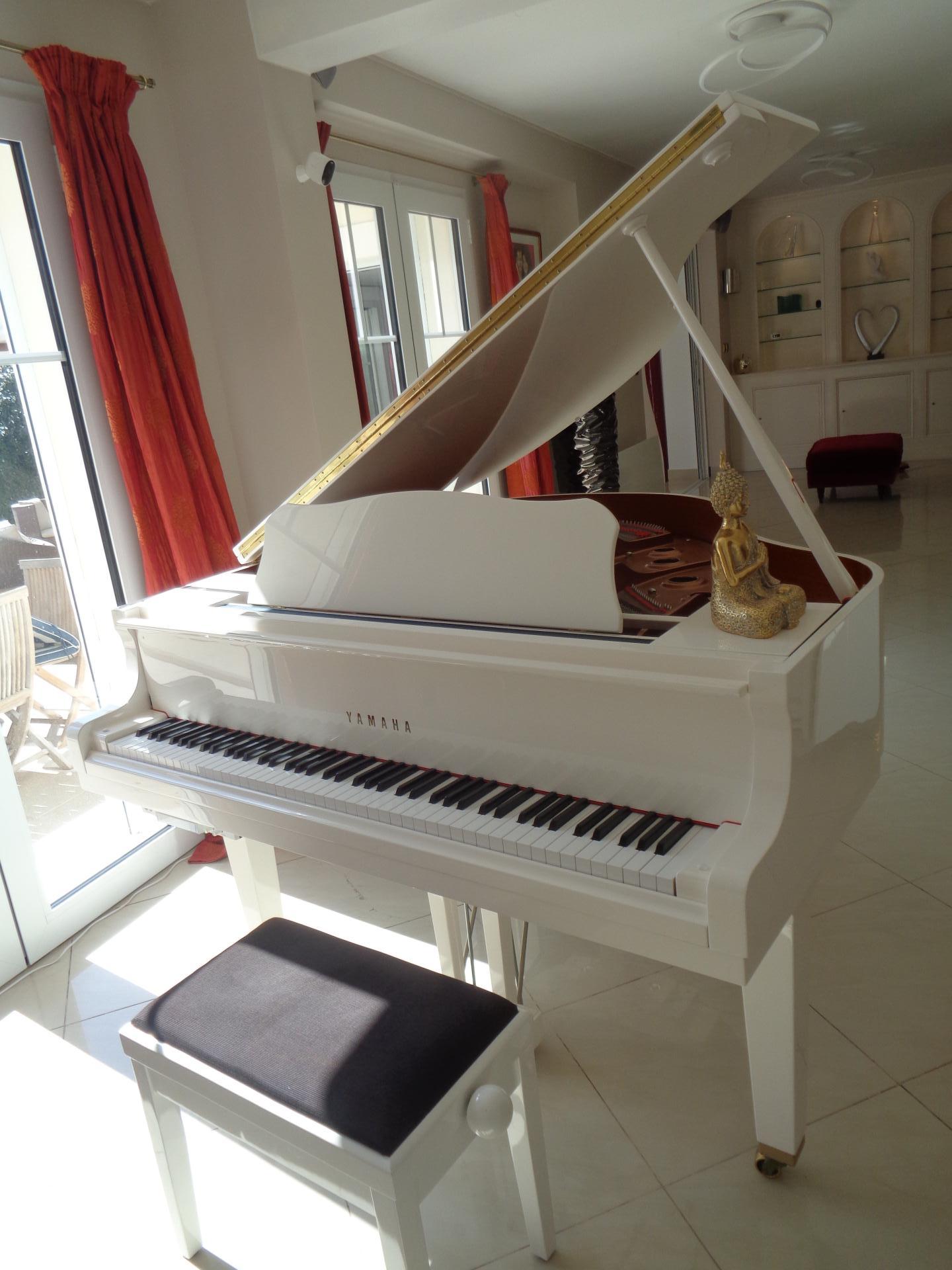 Photo 5 of the listing.