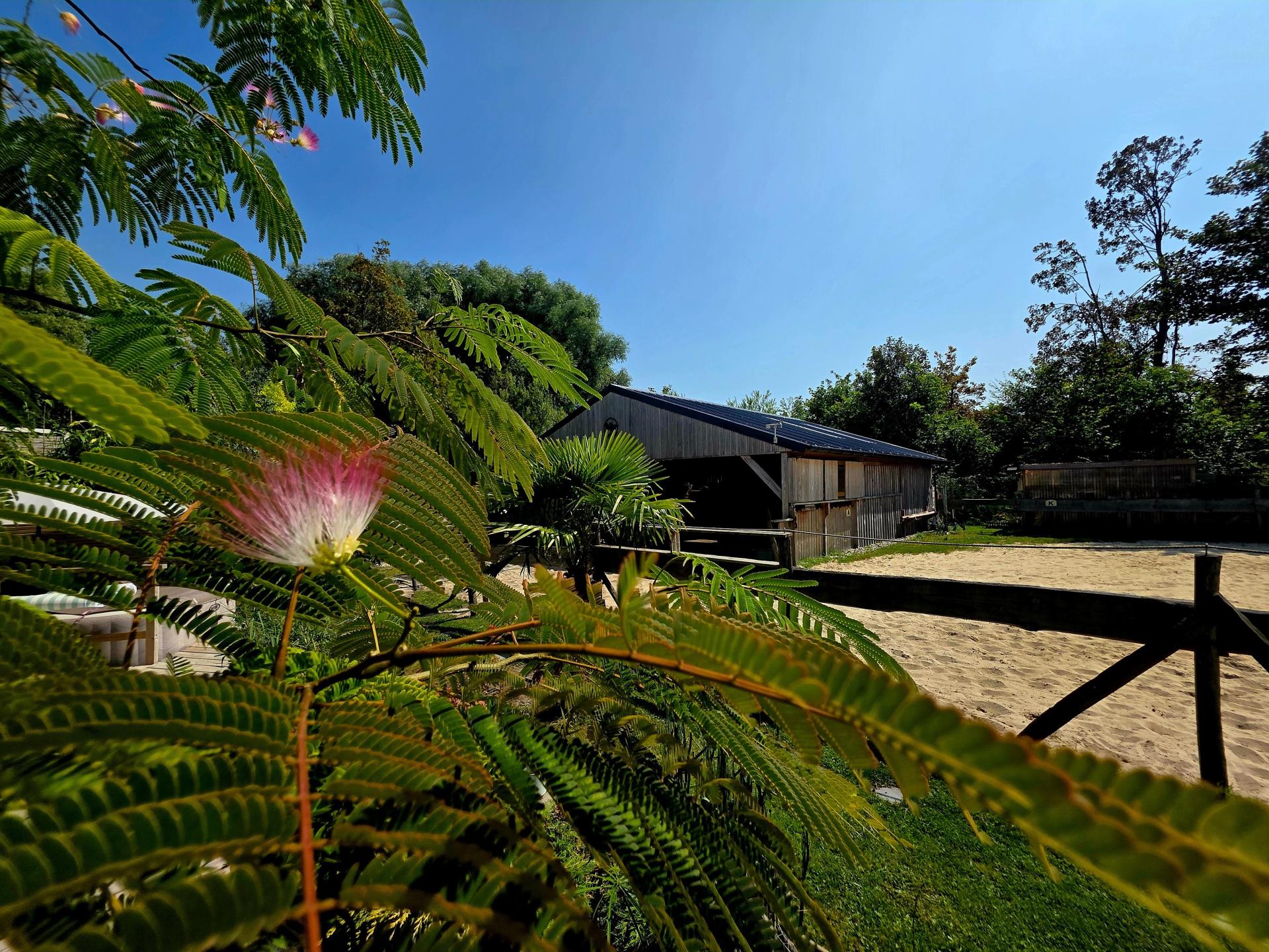 Photo 9 de l'annonce.