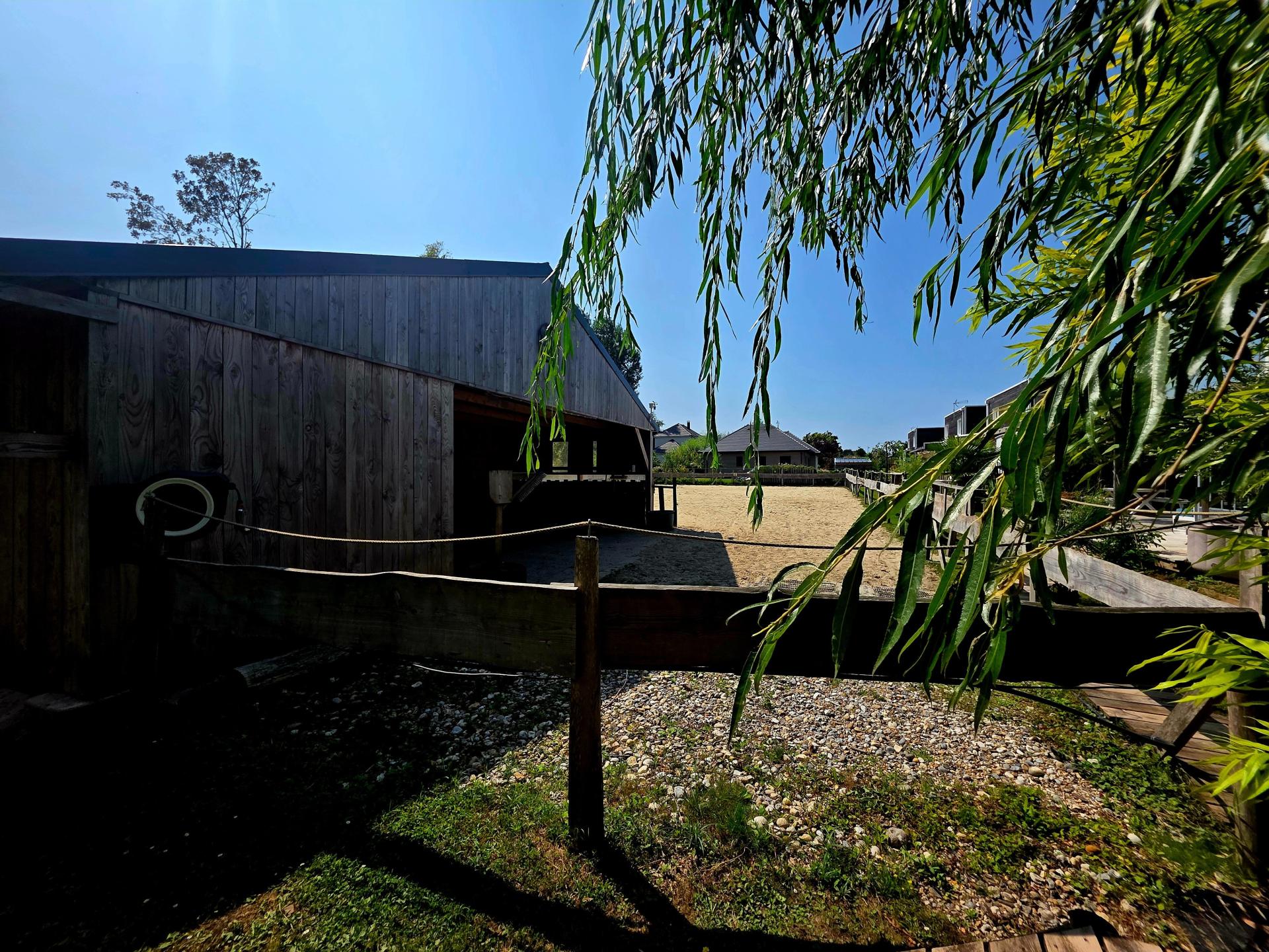 Photo 11 de l'annonce.