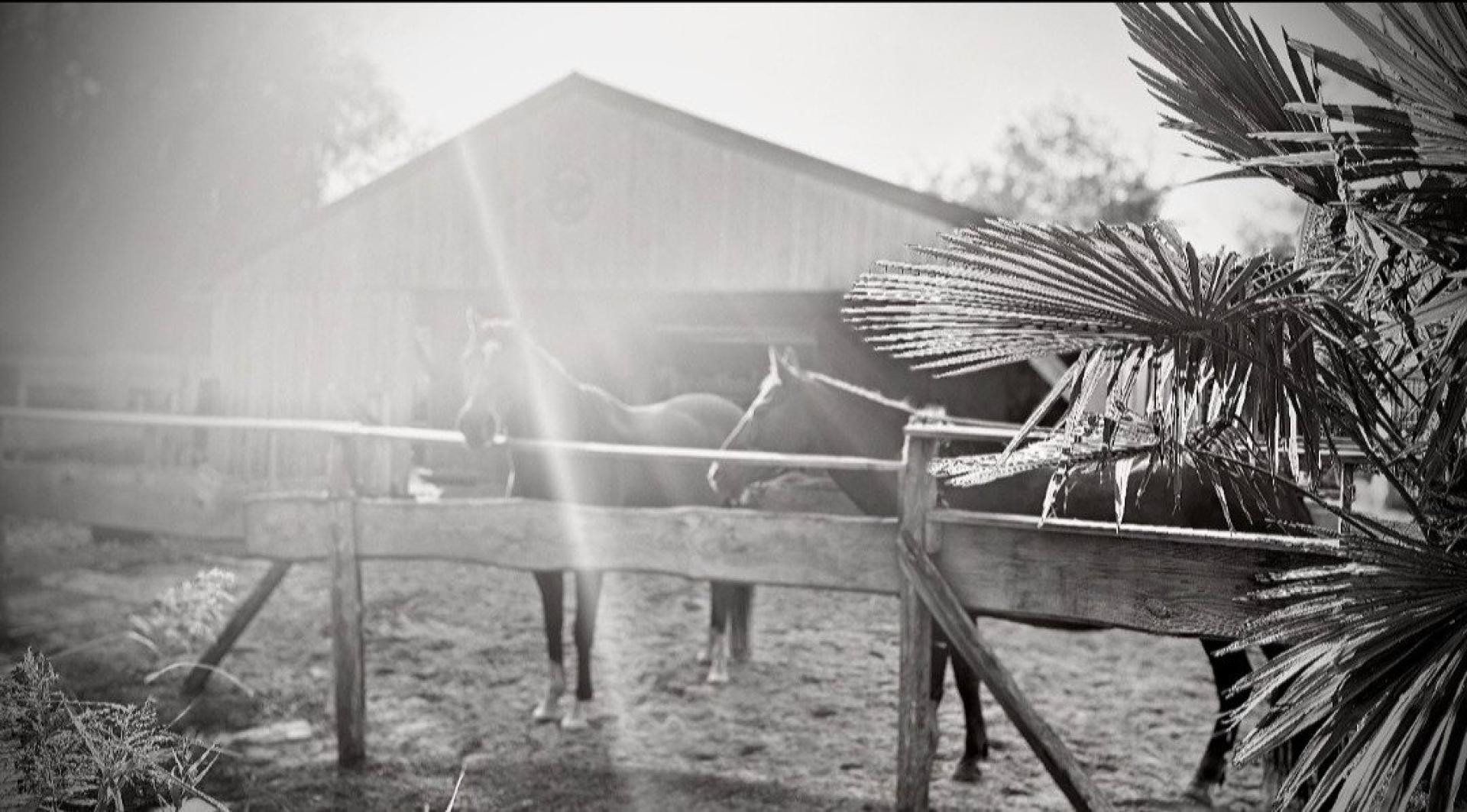 Photo 13 de l'annonce.